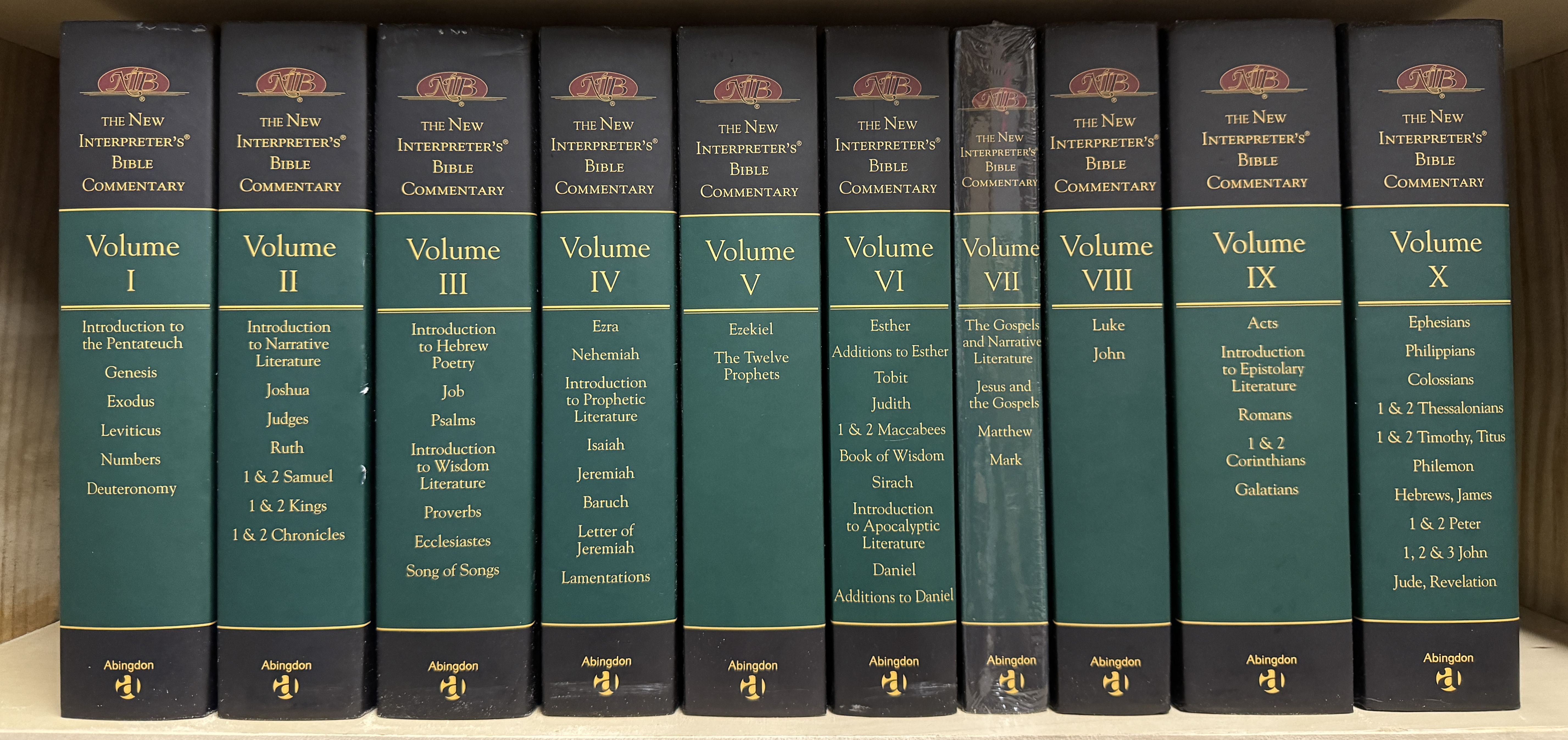 The New Interpreter's Bible Commentary [10 Volume Set]