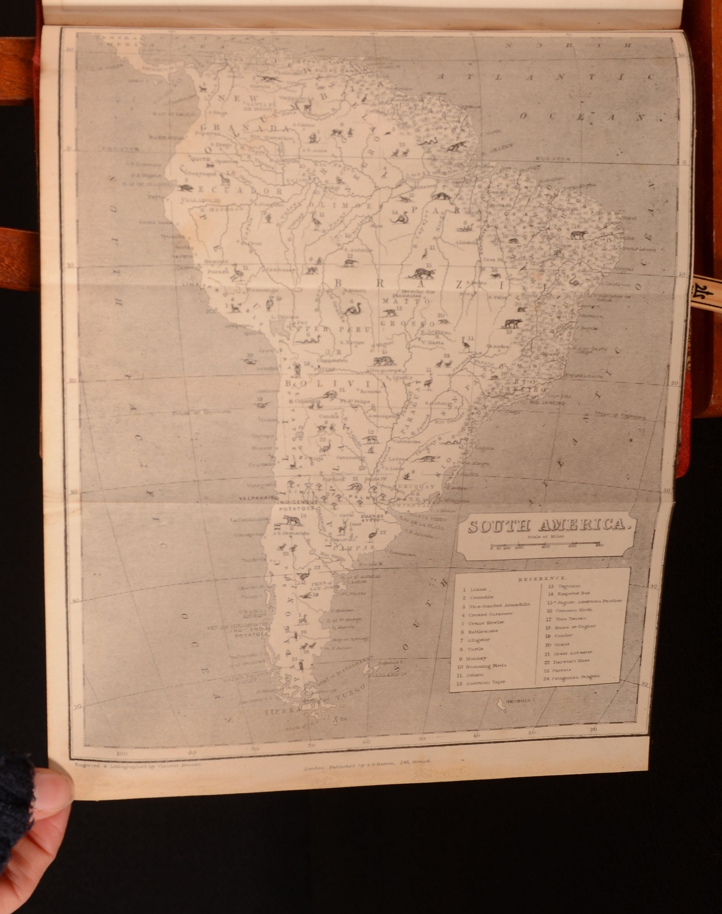 James Greenwood - Wild Sports of the World a Boy&Apos;S Book of Natural History and Adventure