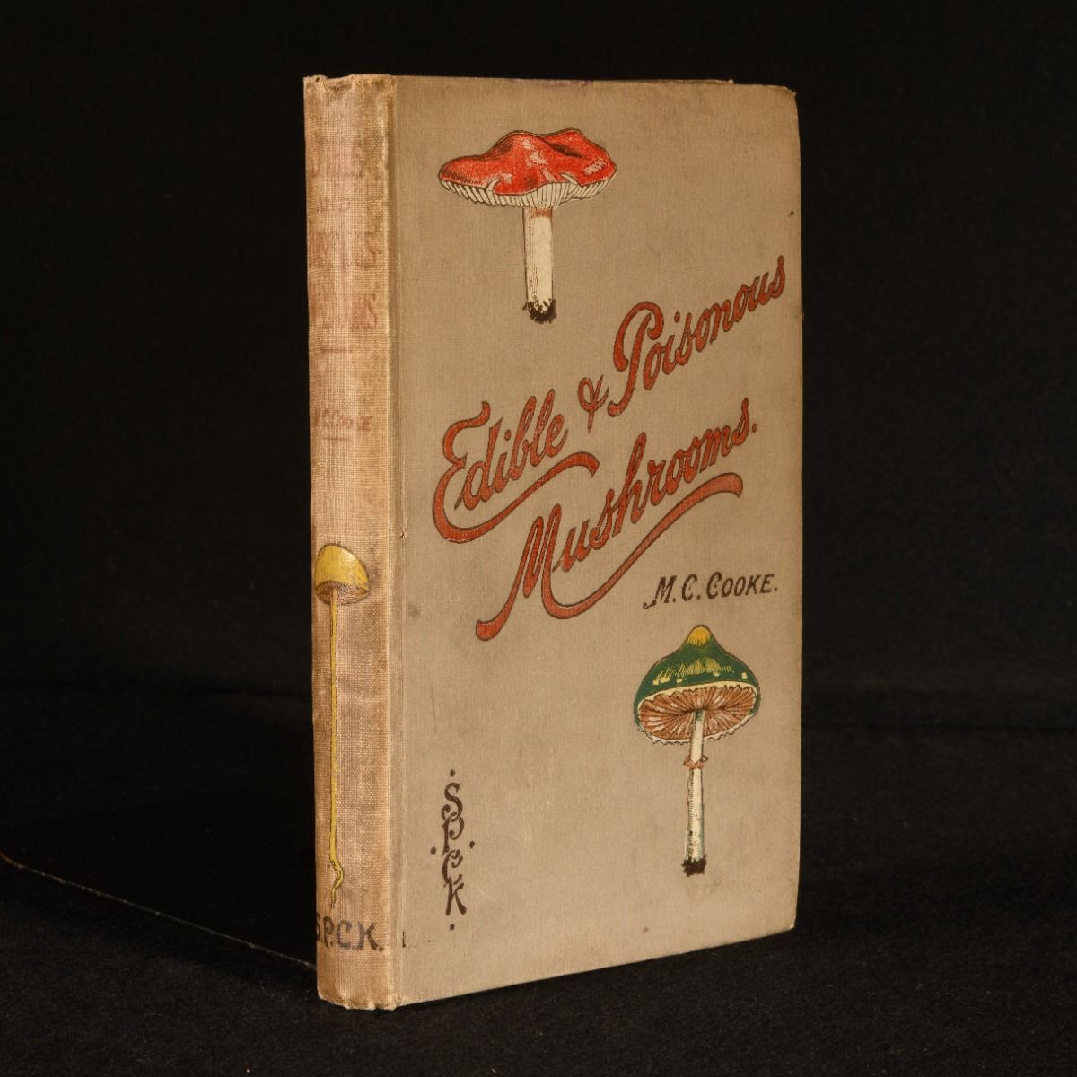 M. C. Cooke - Edible and Poisonous Mushrooms: What to Eat and What to Avoid