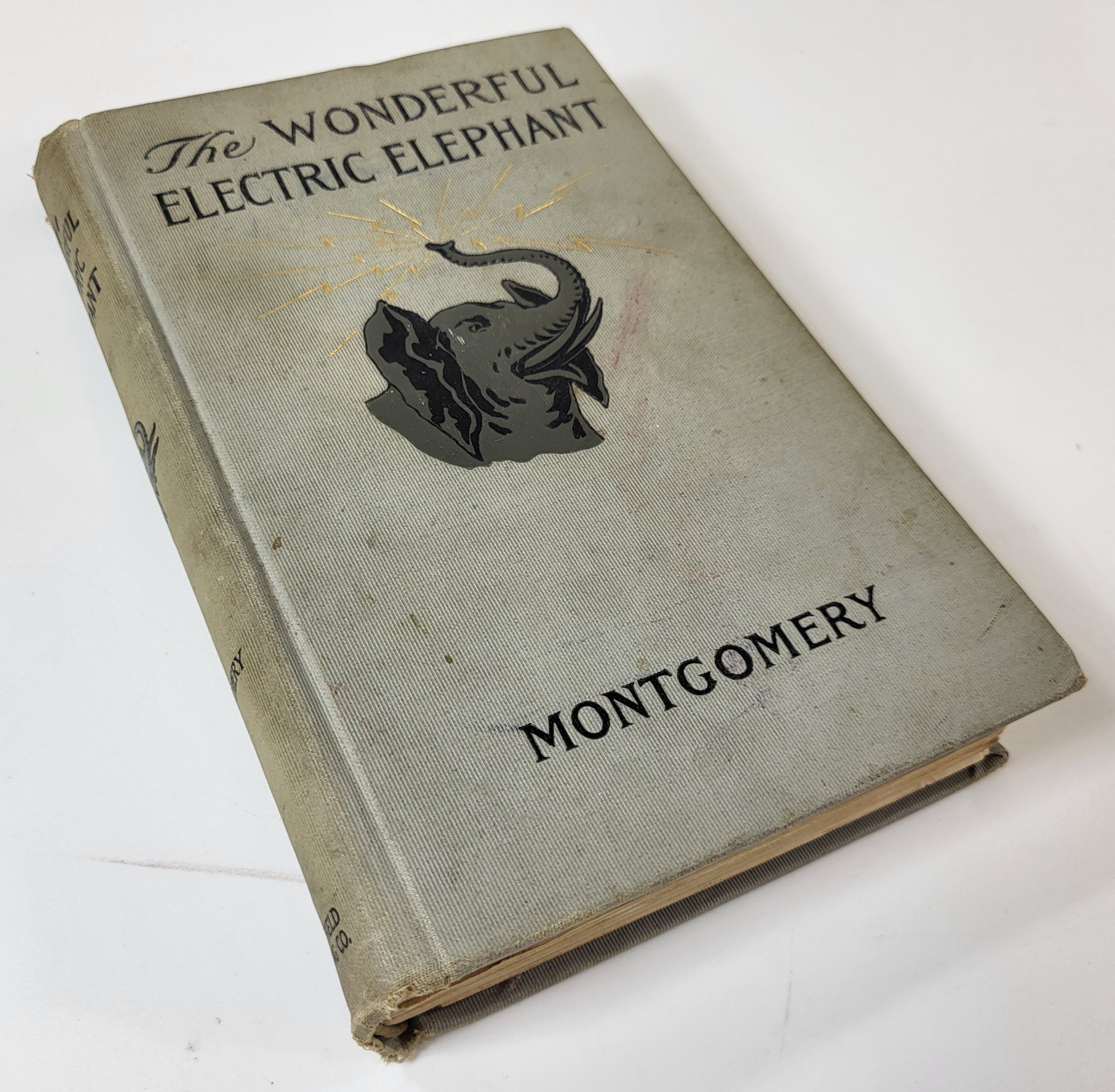 Image for The Wonderful Electric Elephant The Wonderful Electric Elephant