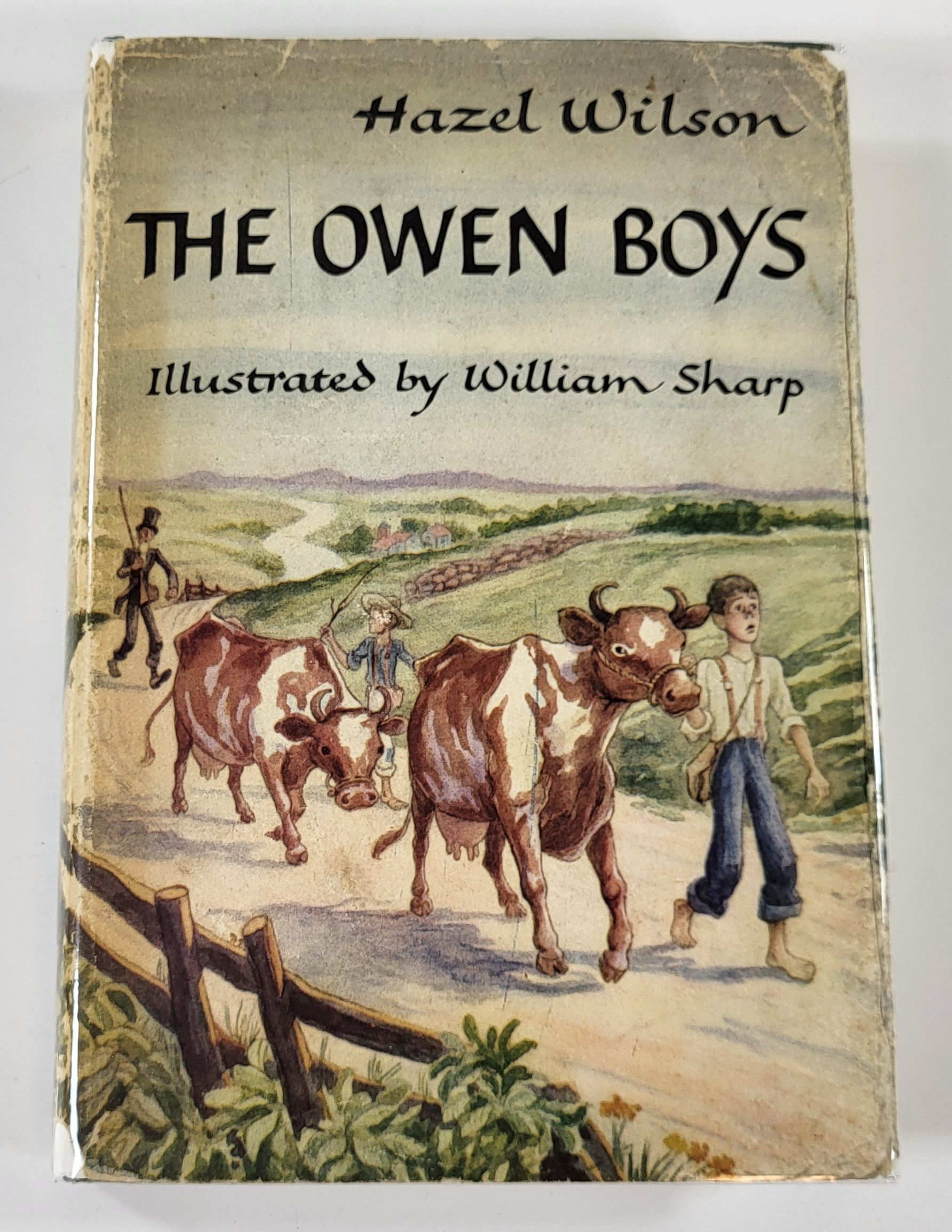 Image for The Owen Boys The Owen Boys