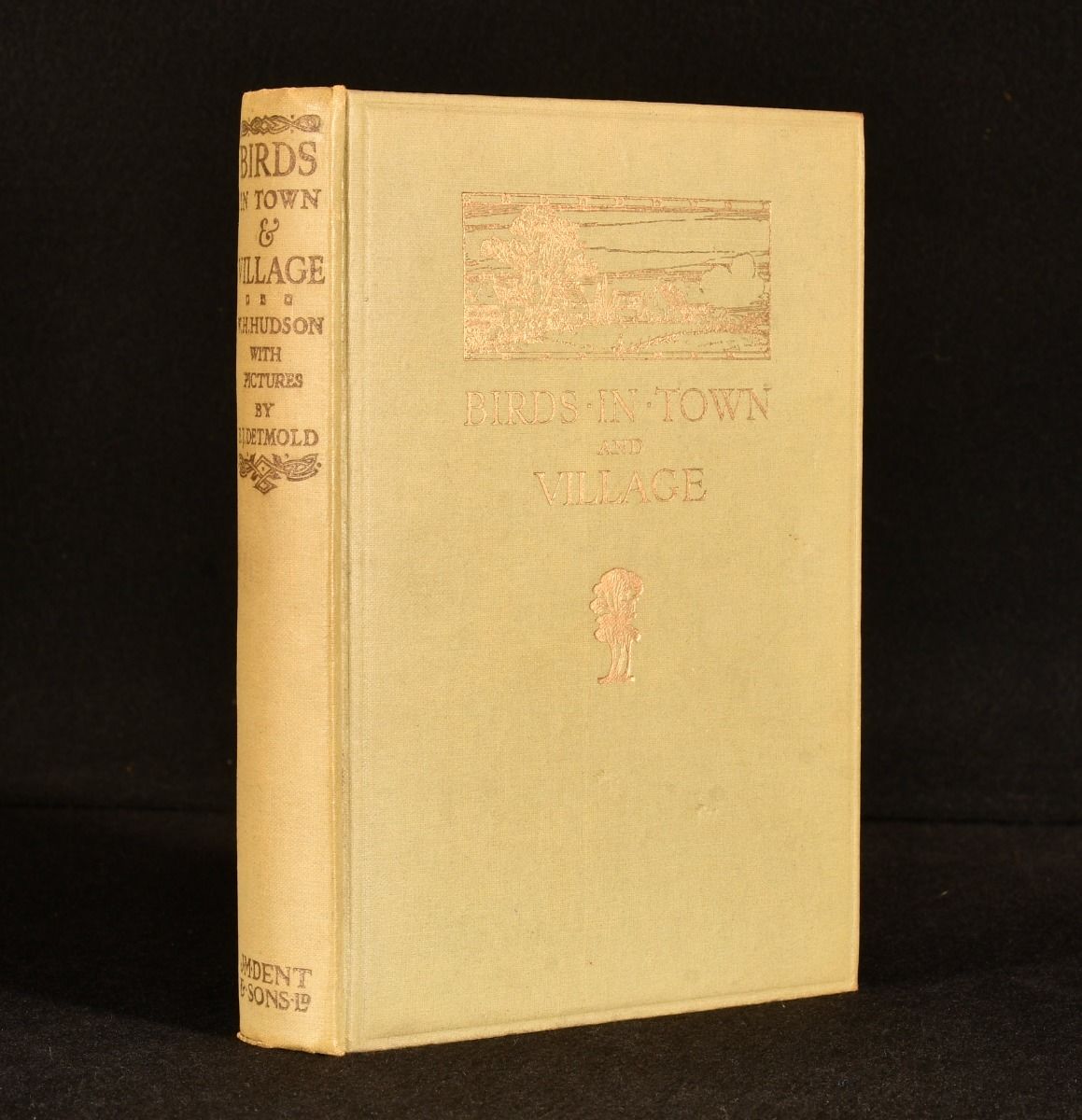 W. H. Hudson - Birds in Town & Village