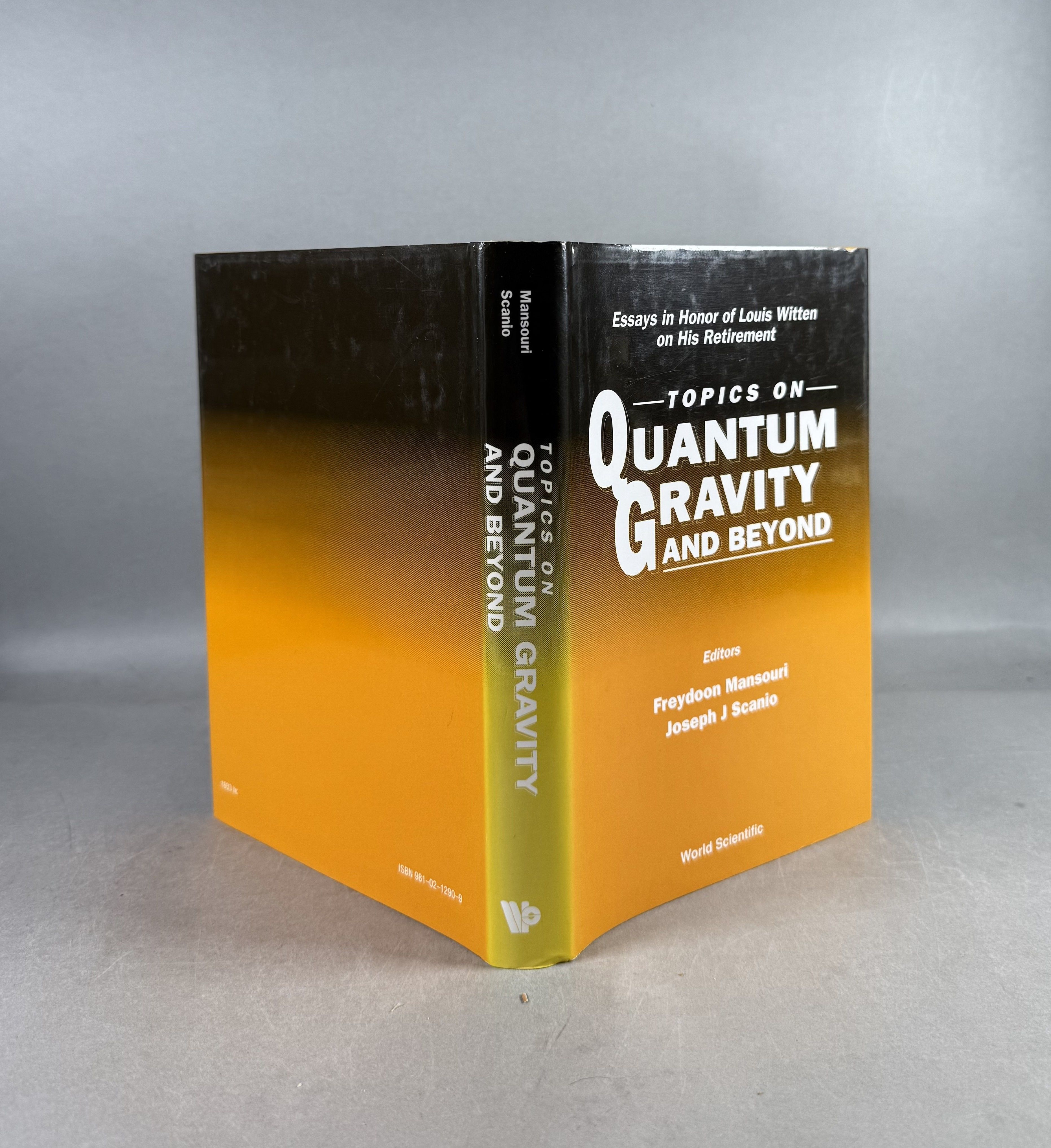 Topics on Quantum Gravity and Beyond: Essays in Honor of Louis Witten on His Retirement
