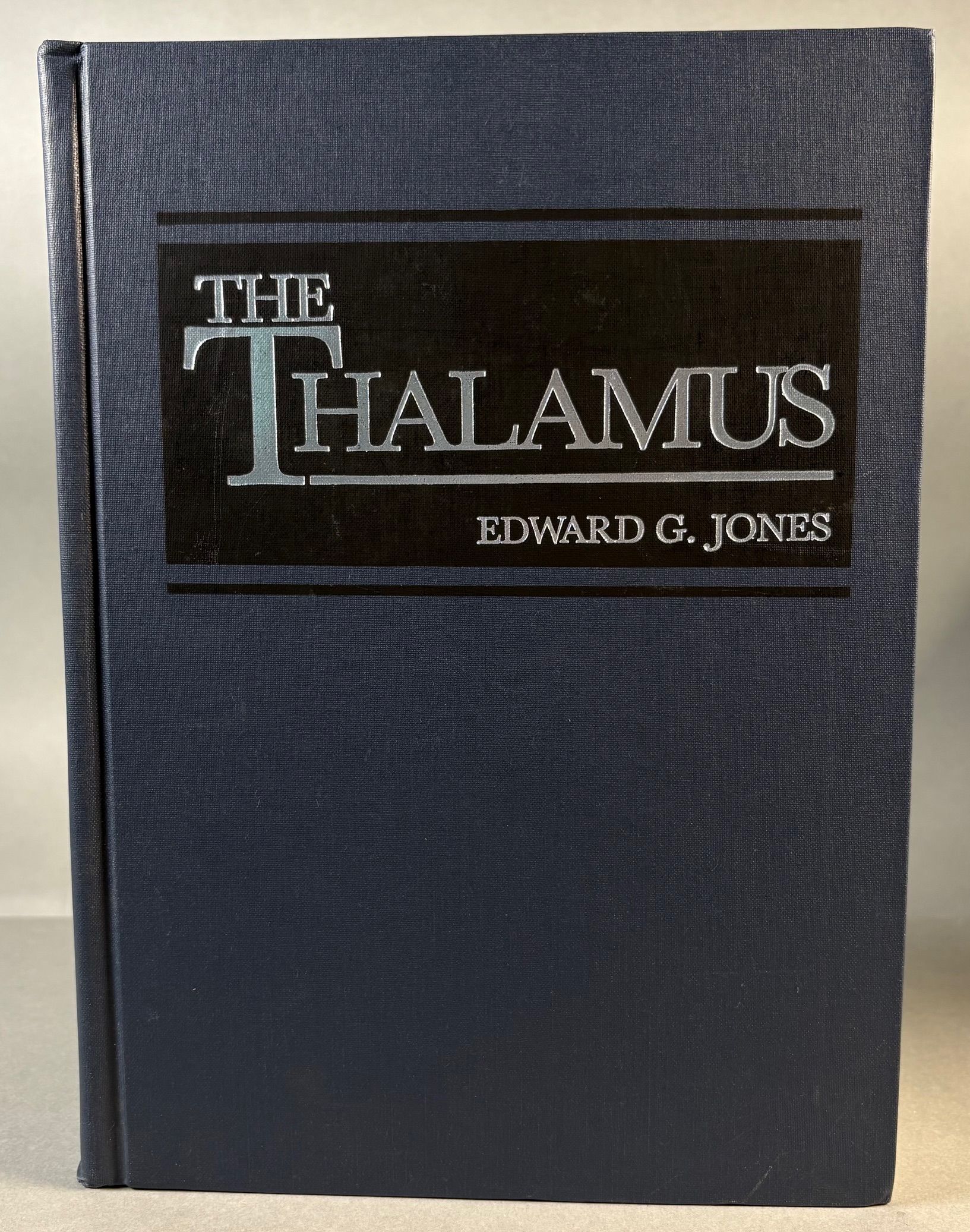 Image for The Thalamus The Thalamus