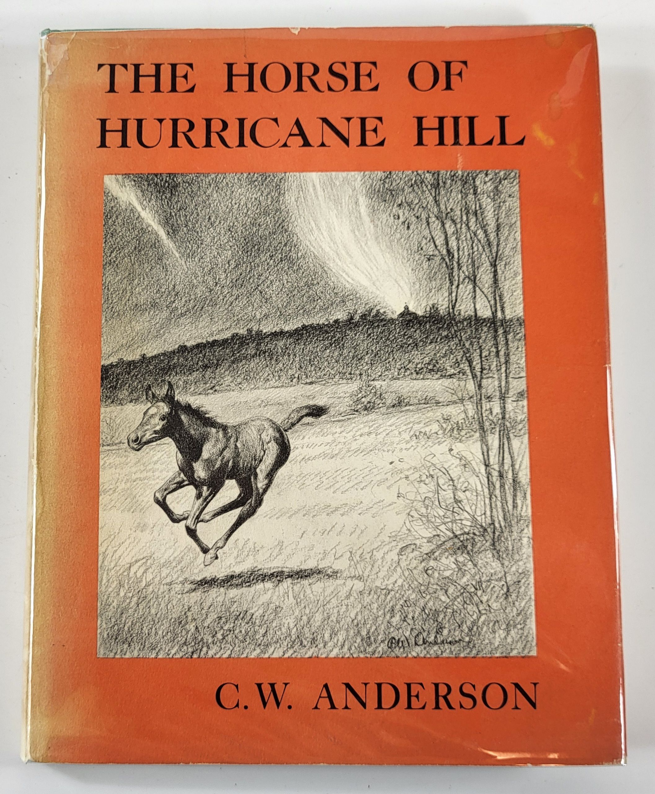 Image for The Horse of Hurricane Hill The Horse of Hurricane Hill