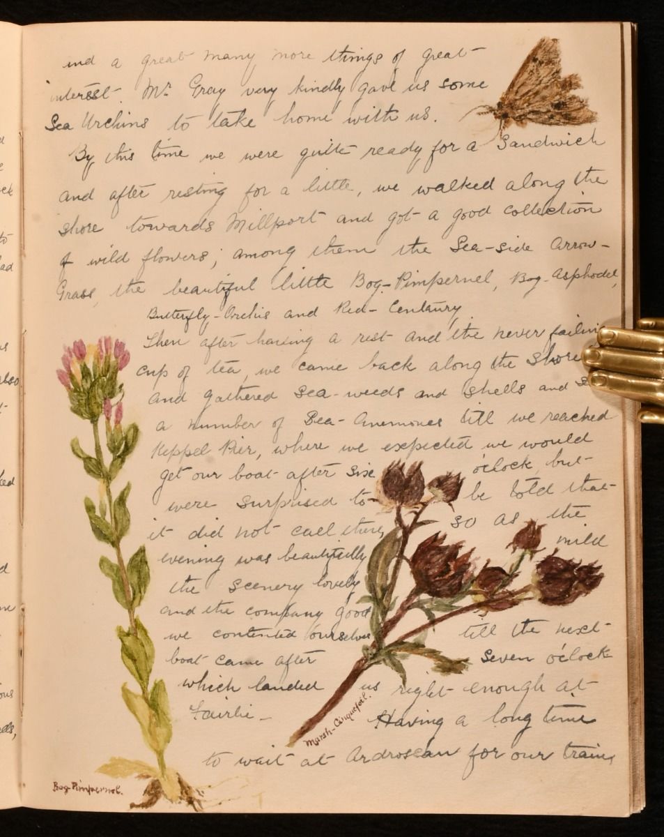 Anonymous - Darvel Nature Note Book; a Handwritten Journal with Botanical Illustrations