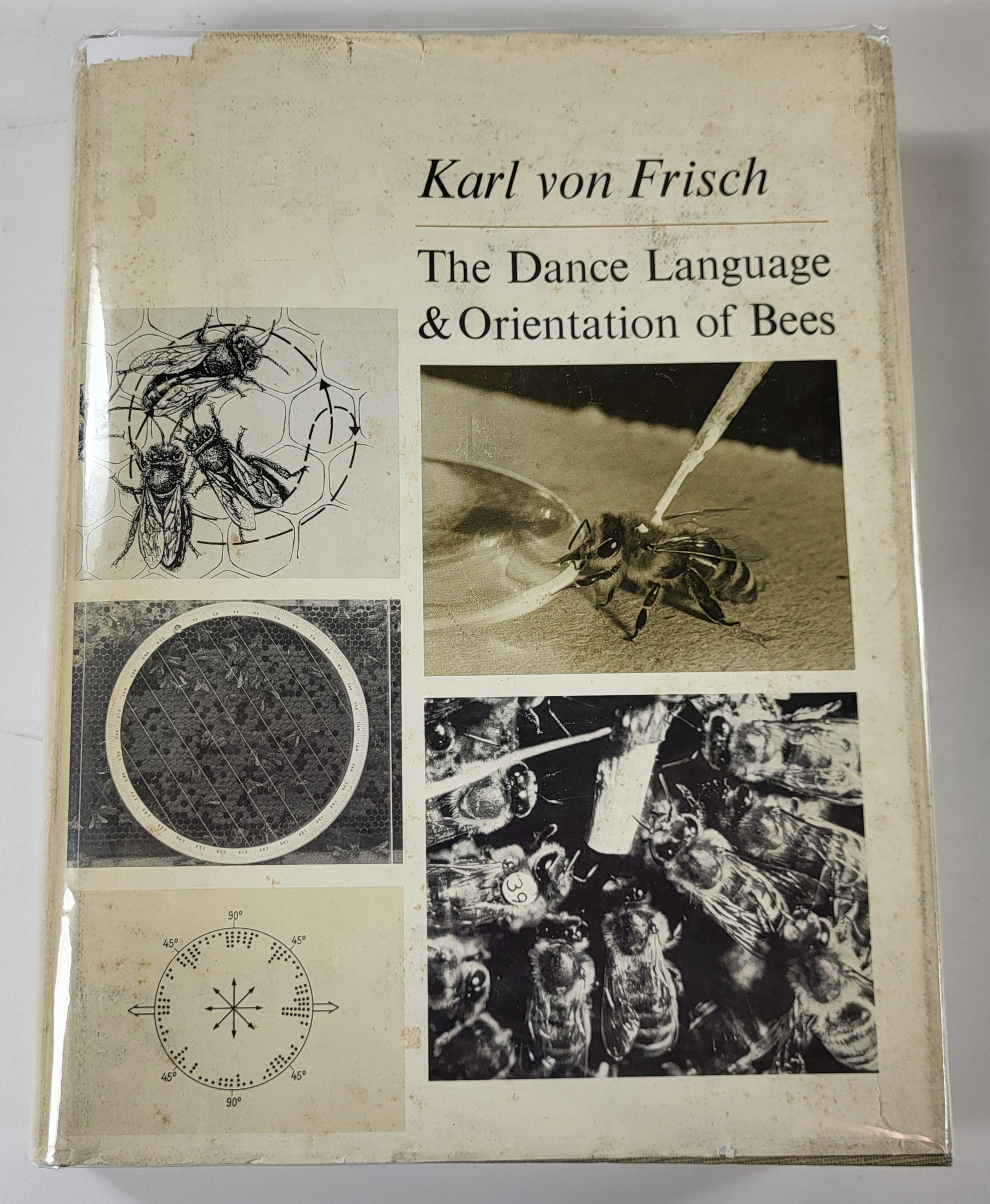 Image for The Dance Language and Orientation of Bees The Dance Language and Orientation of Bees