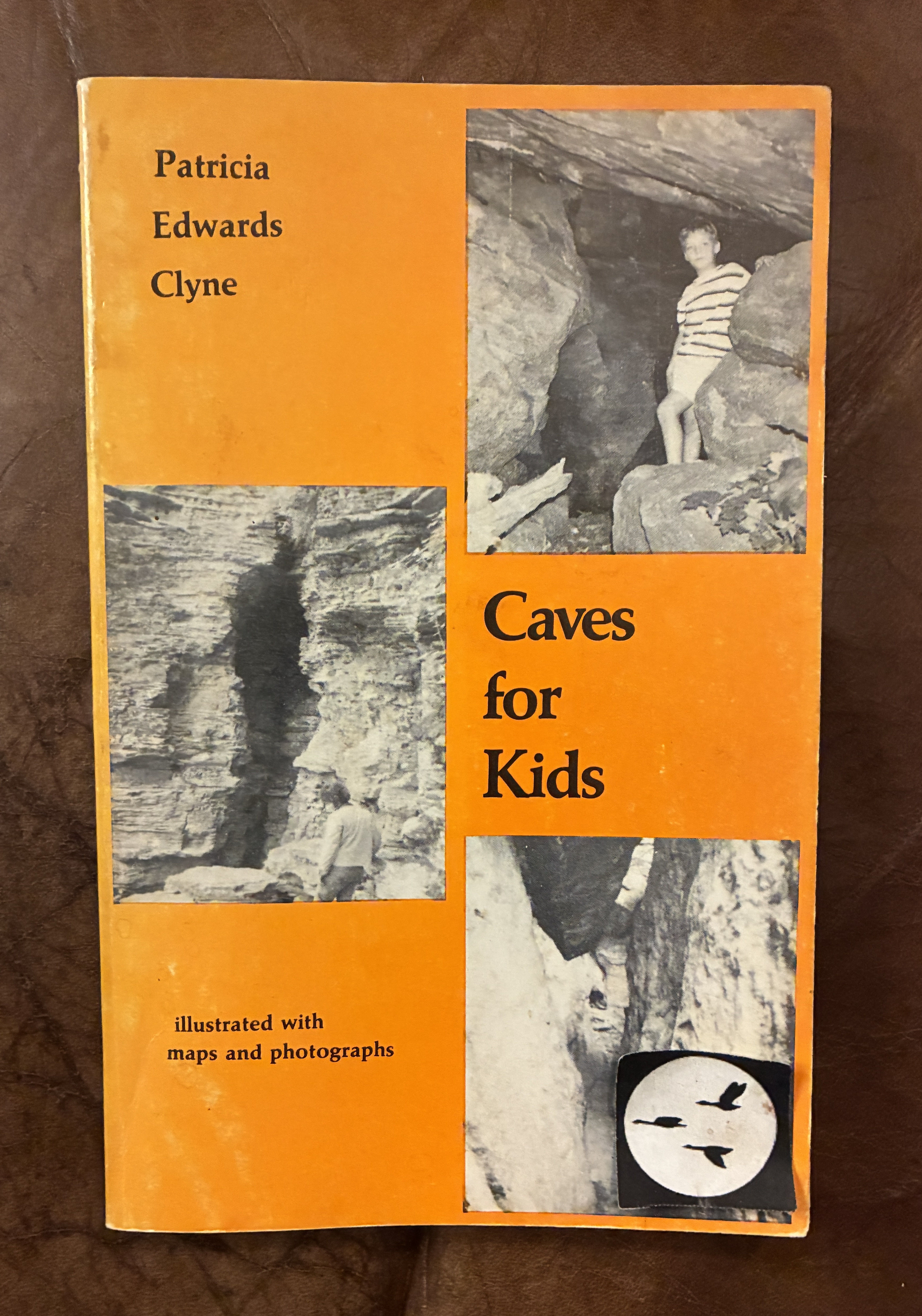 Caves for Kids: In Historic New York