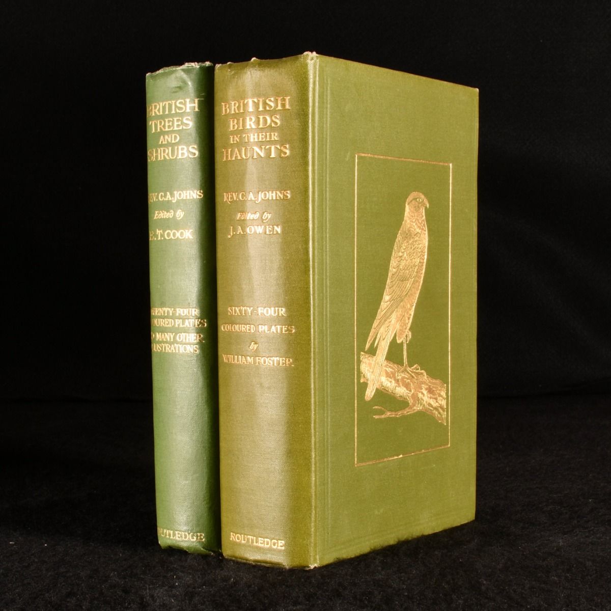 C. A. Johns - Two Books by C.A. Johns: British Trees and British Birds