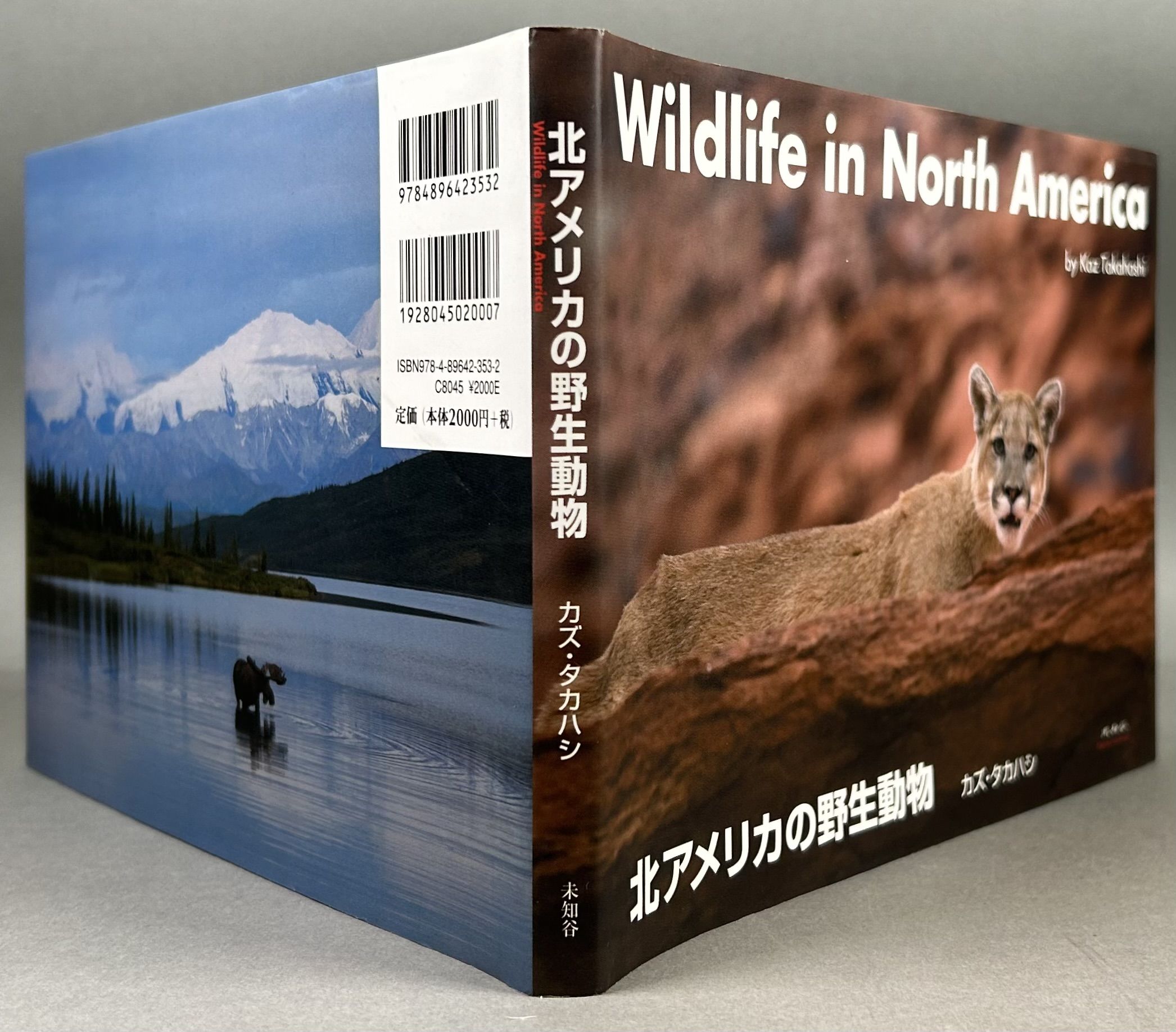 Image for Wildlife in North America Wildlife in North America
