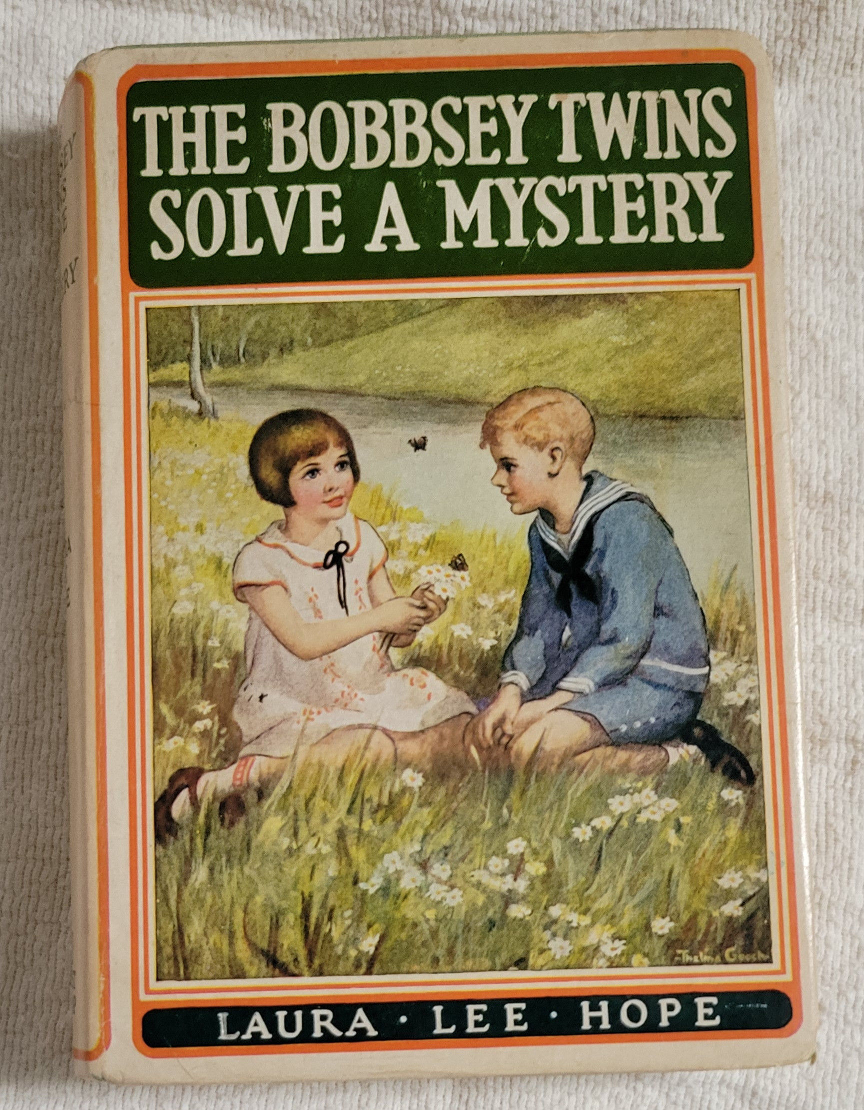 The Bobbsey Twins Solve a Mystery