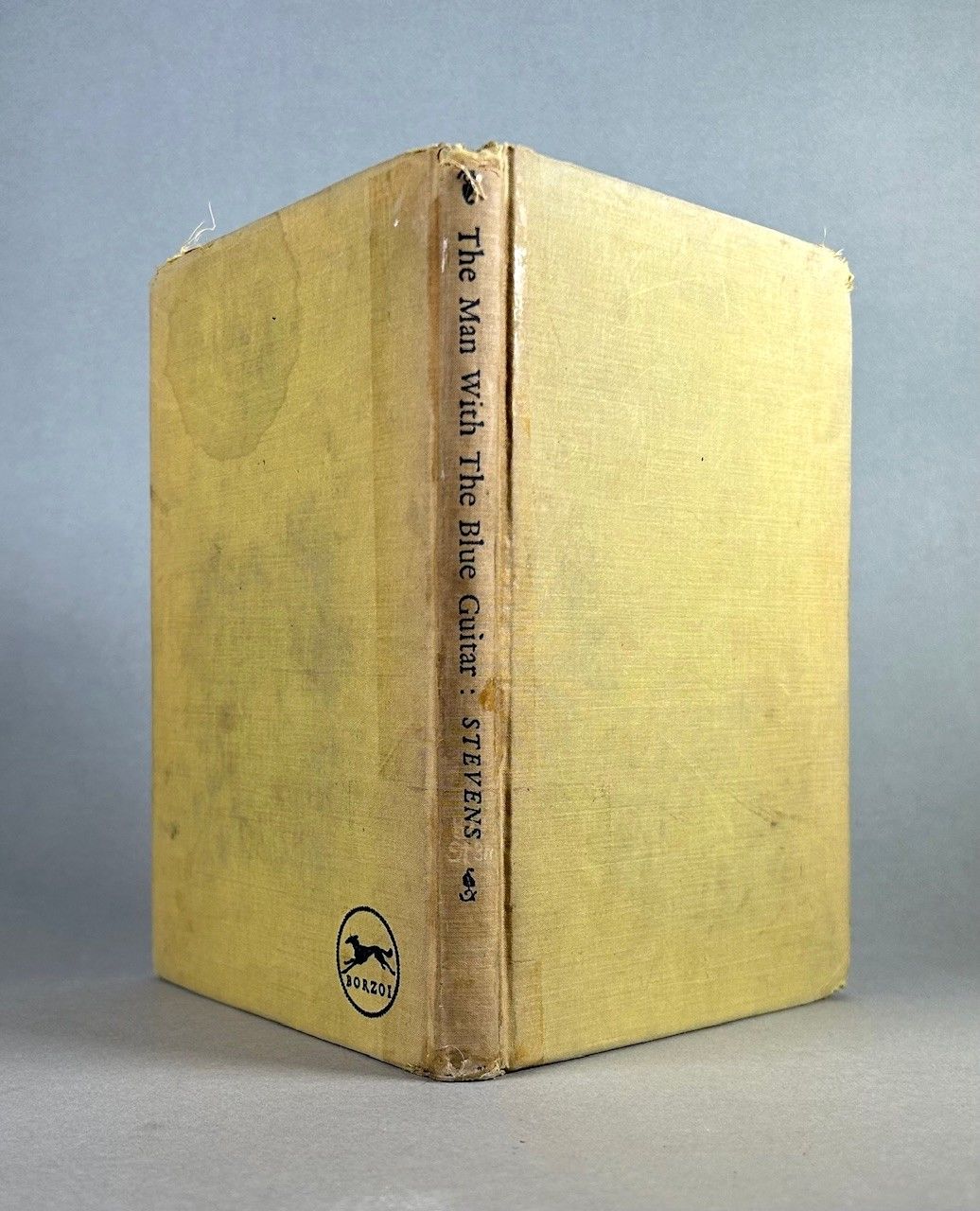 The Man with the Blue Guitar & Other Poems