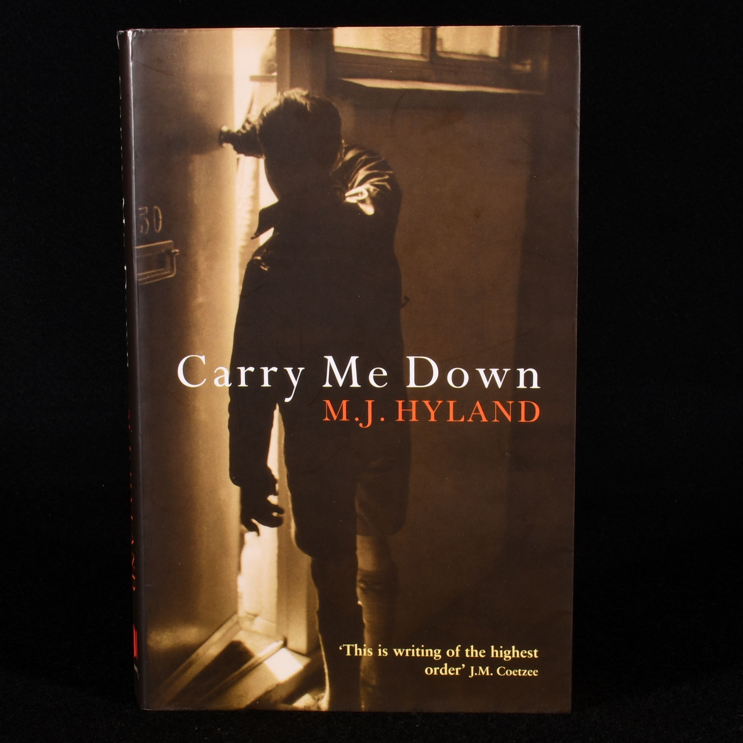 M.J. Hyland - Carry Me Down