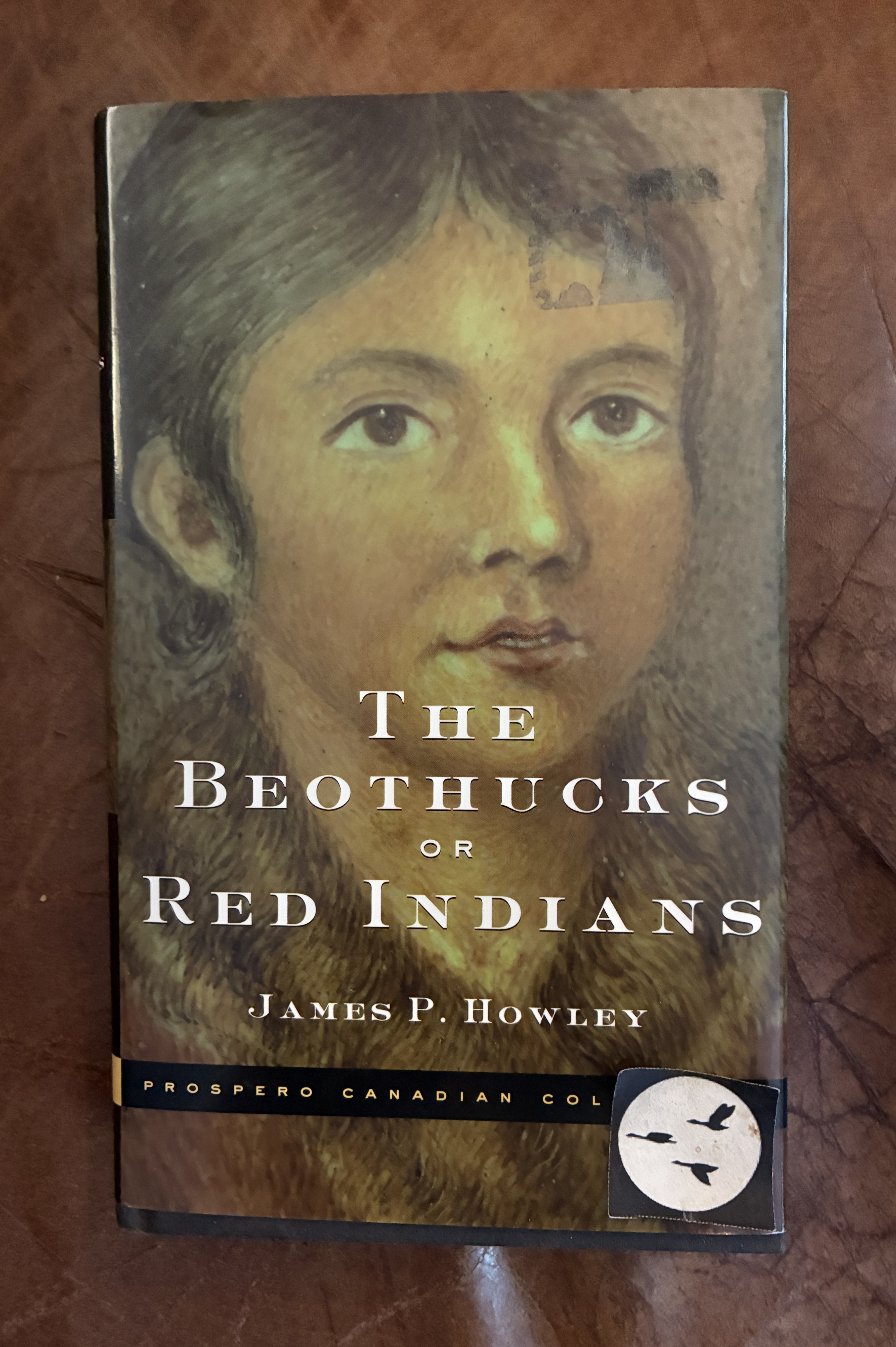 The Beothucks Or Red Indians The Aboriginal Inhabitants Of Newfoundland