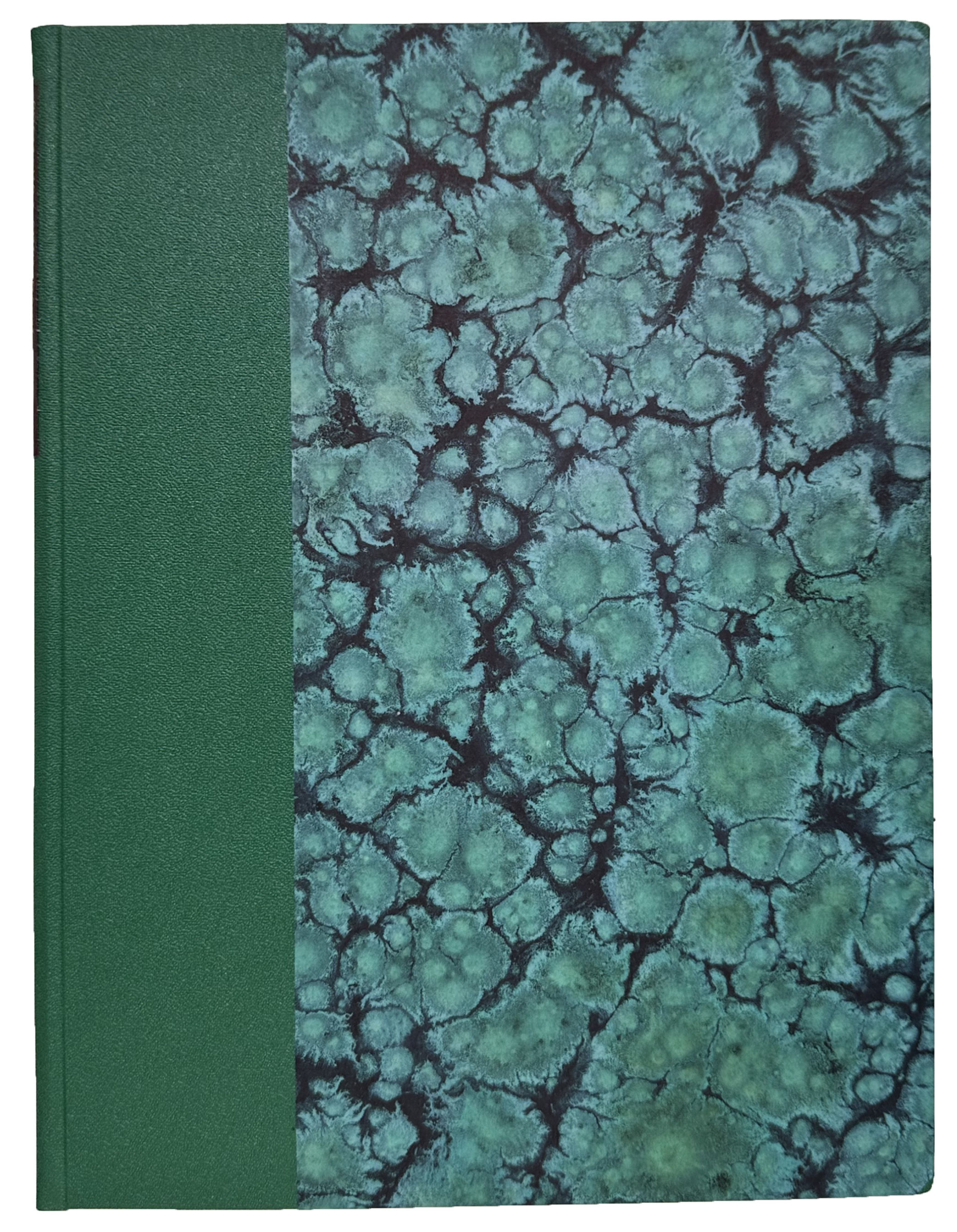 On the manner in which Algebraic Functions on the principal variable, are in certain cases introduced into the integrals of linear differential equations that have constant coefficients.