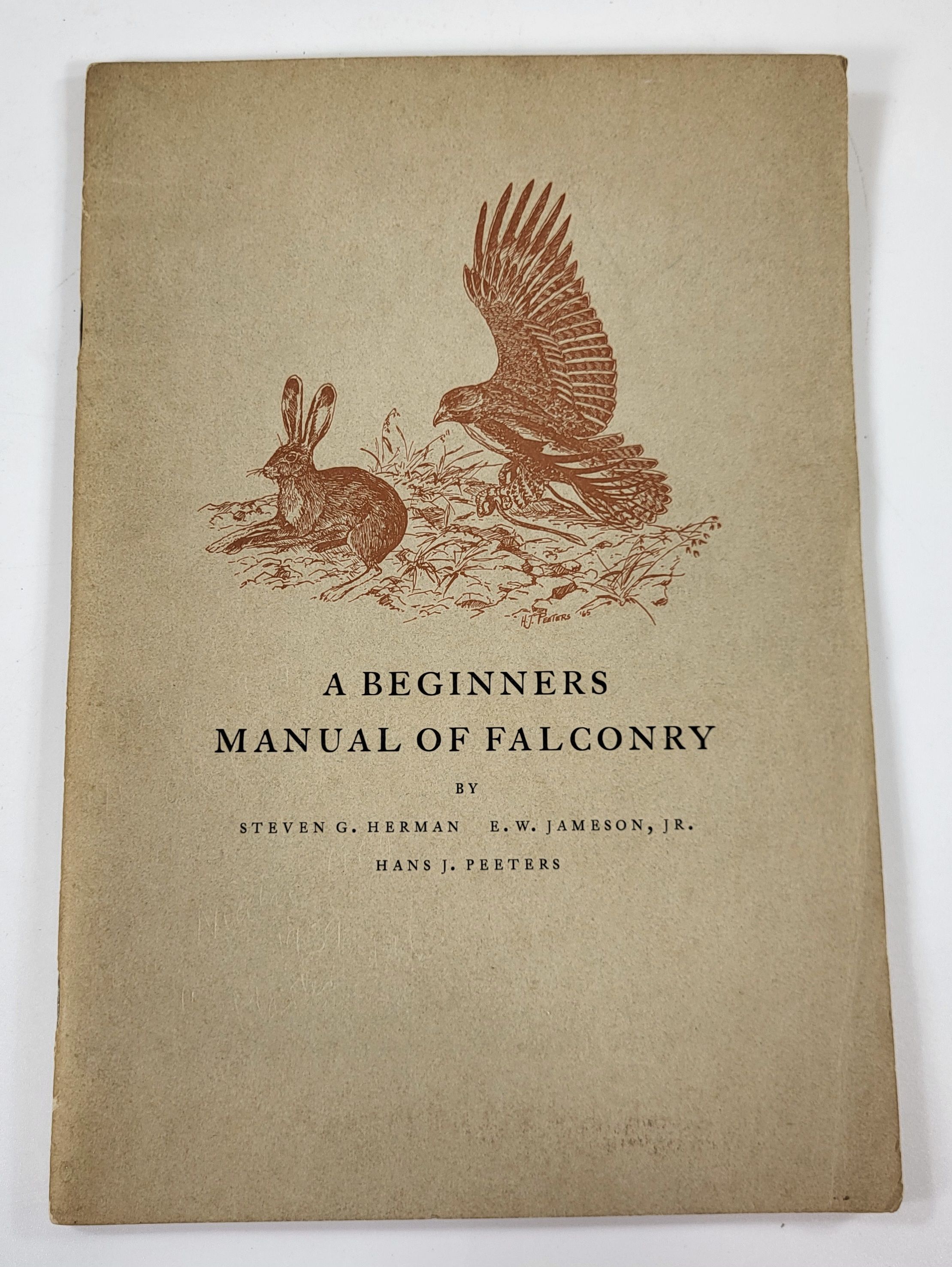 Image for A Beginners Manual of Falconry A Beginners Manual of Falconry