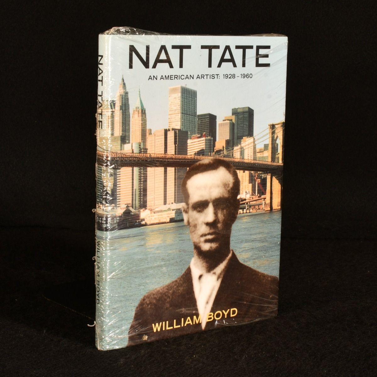 William Boyd - Nat Tate: An American Artist 1928-1960