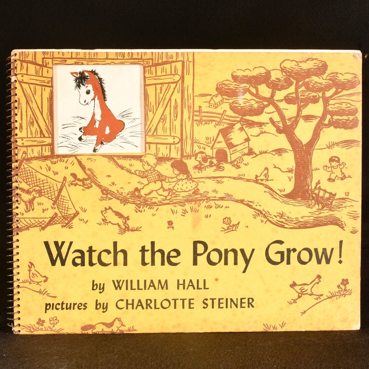 William Hall - Watch the Pony Grow!