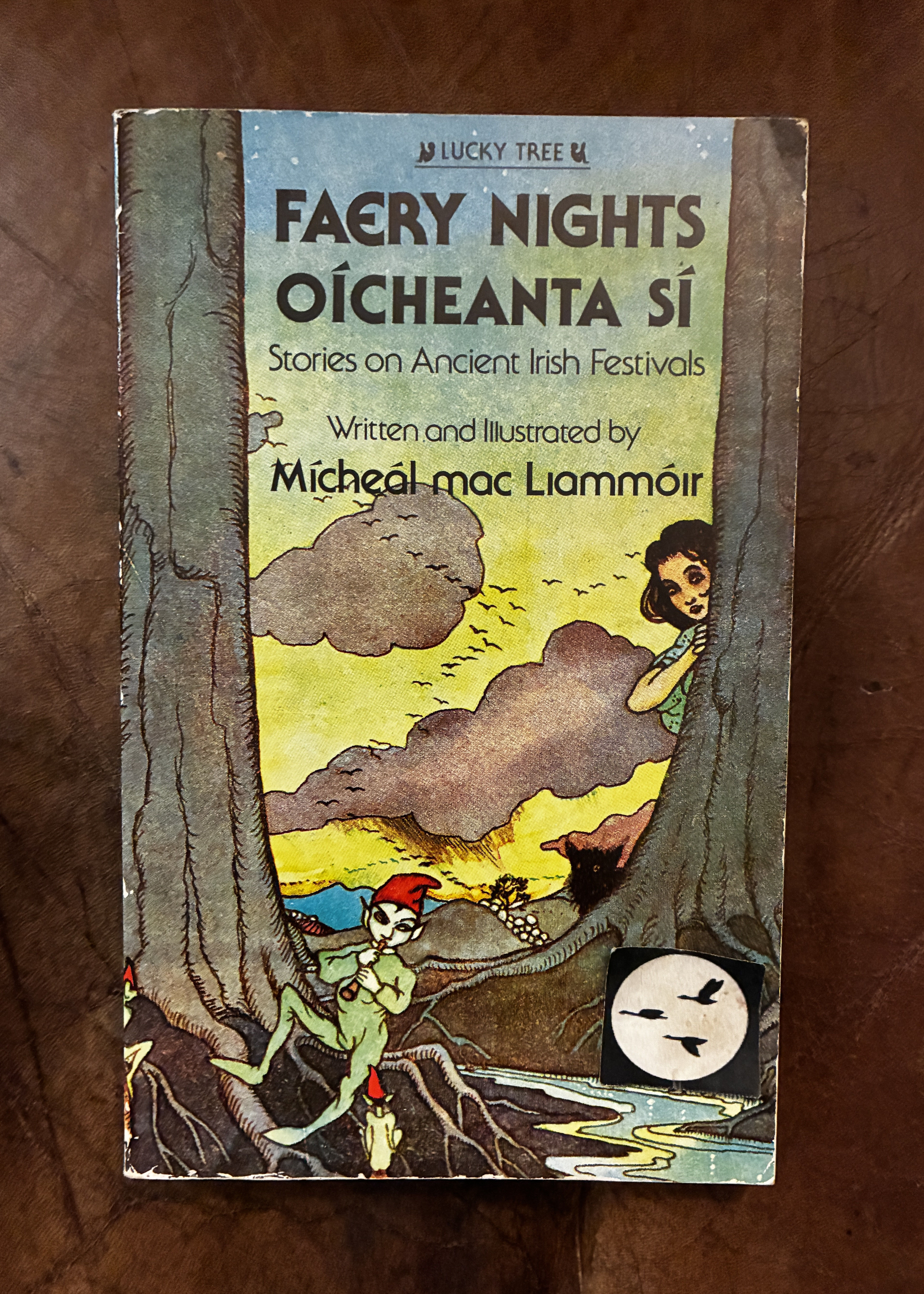 Image for Faery Nights Oicheanta Si Stories On Ancient Irish Festivals Faery Nights Oicheanta Si Stories On Ancient Irish Festivals