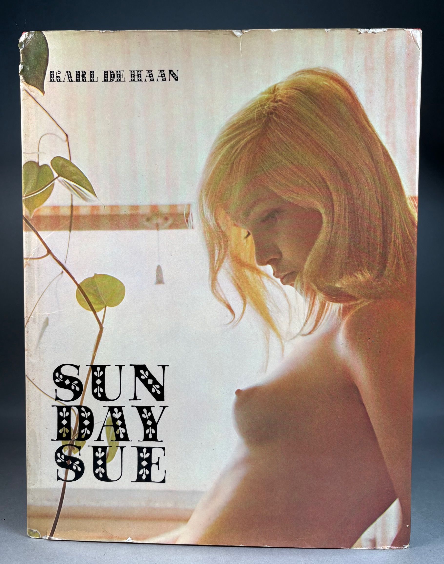 Image for Sun Day Sue Sun Day Sue