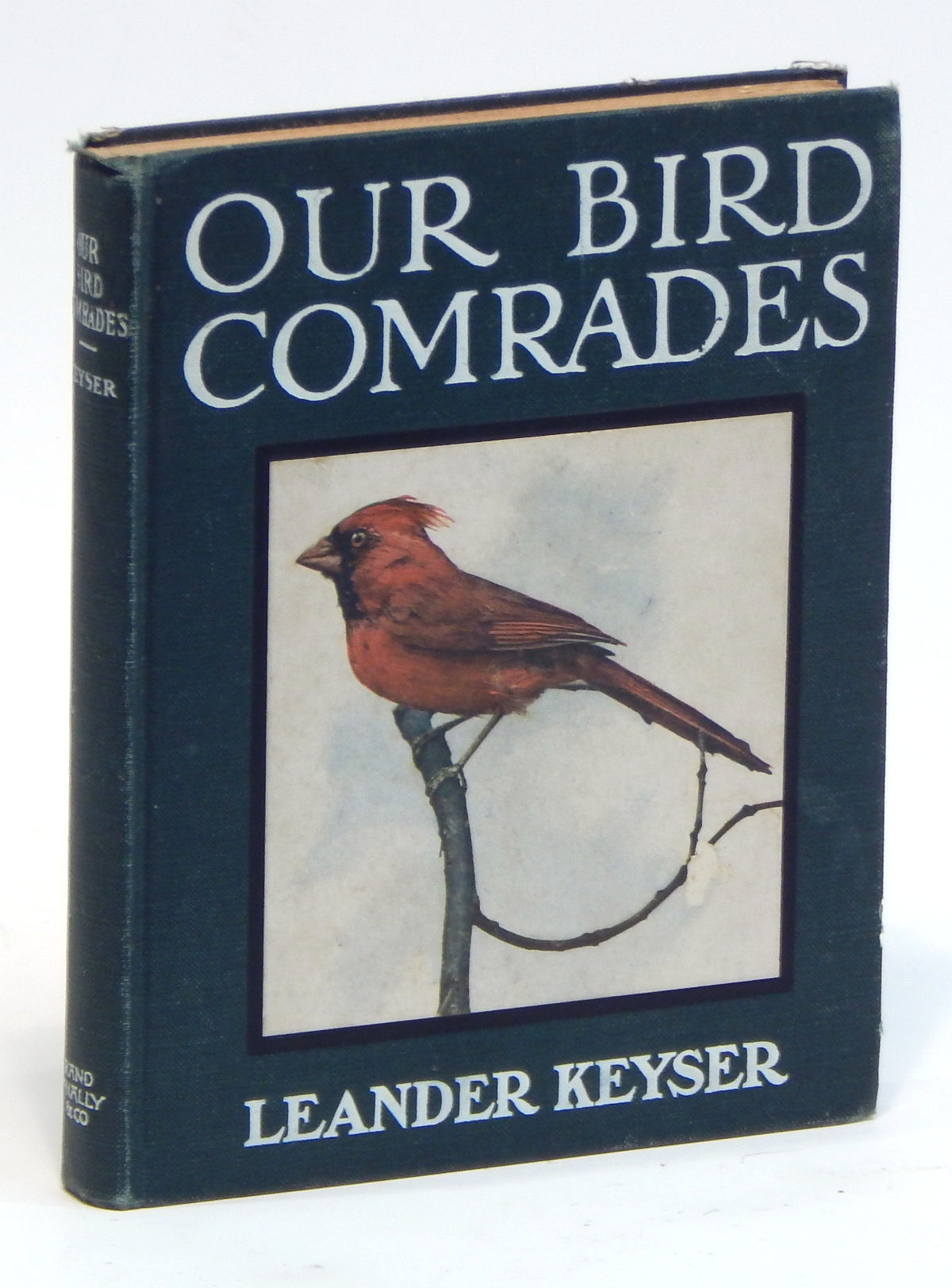 Our Bird Comrades