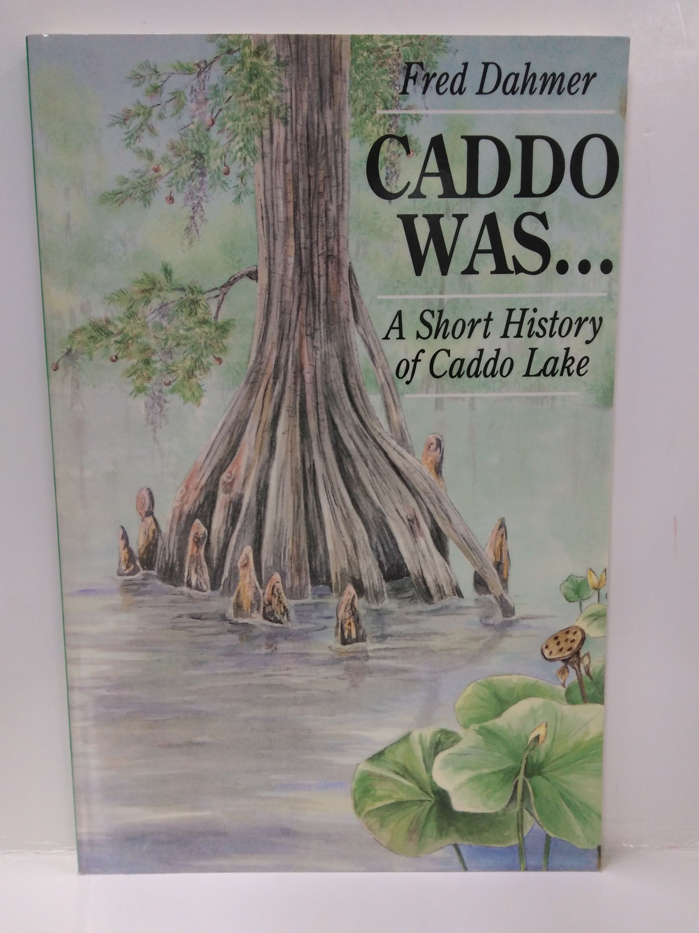 Texas College of Osteopathic Medicine the First Twenty Years