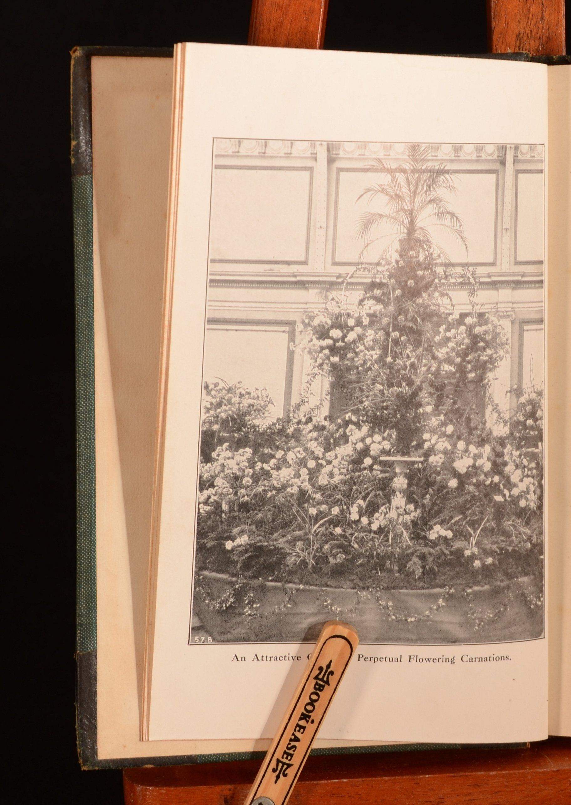 Laurence J. Cook - Perpetual Carnations a Complete Manual, with All Details of Cultivation