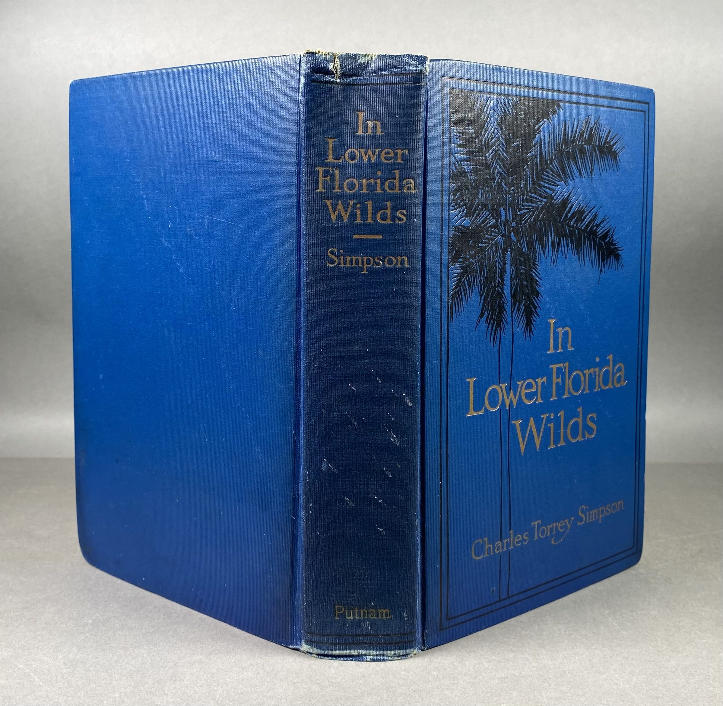 In Lower Florida Wilds; A Naturalist's Observations on the Life, Physical Geography, and Geology of the More Tropical Part of the State.