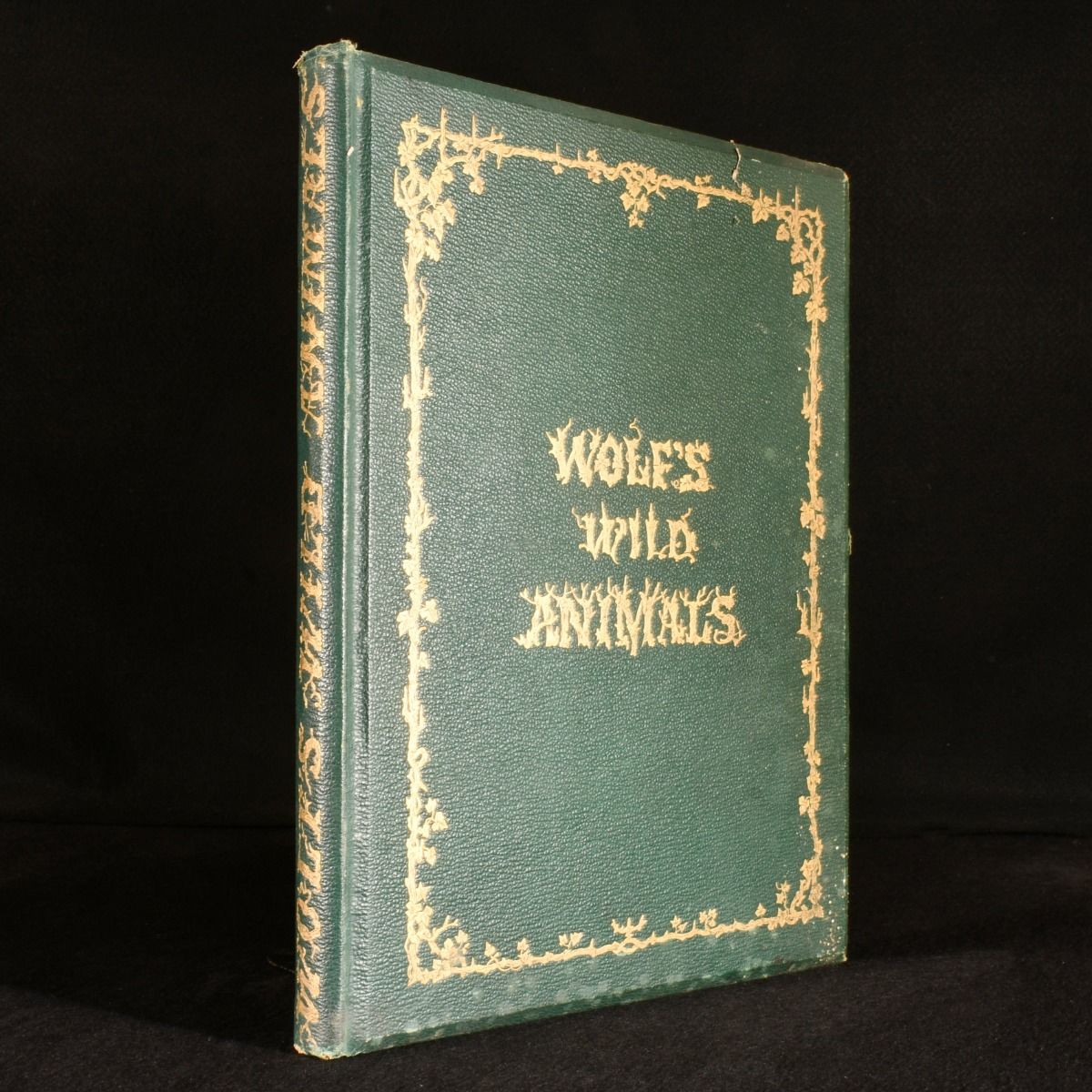 Daniel Giraud Elliot - The Life and Habits of Wild Animals