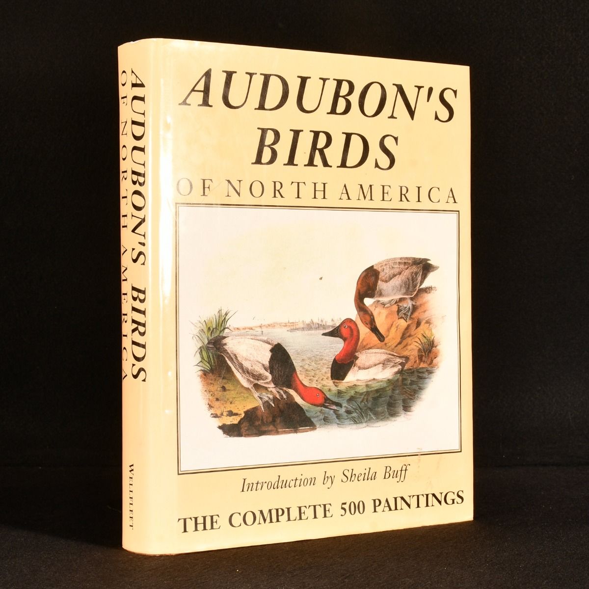 Sheila Buff - Audubon&Apos;S Birds of North America
