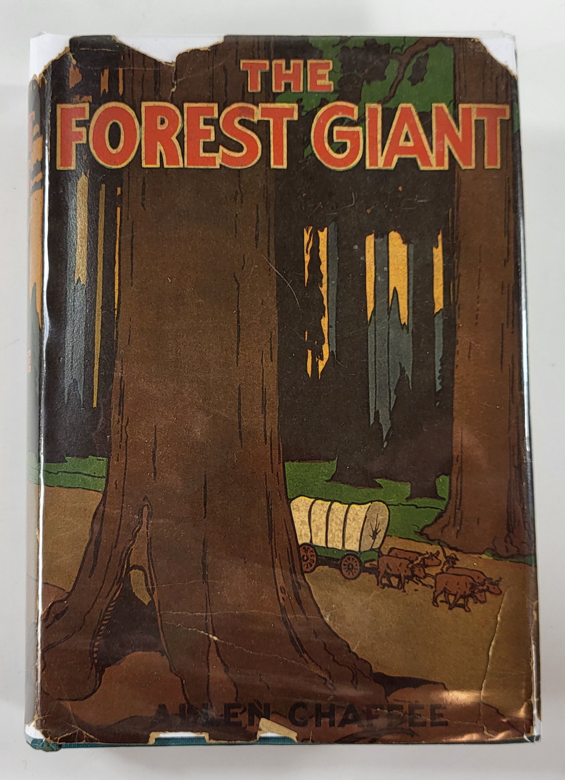 Image for The Forest Giant The Forest Giant