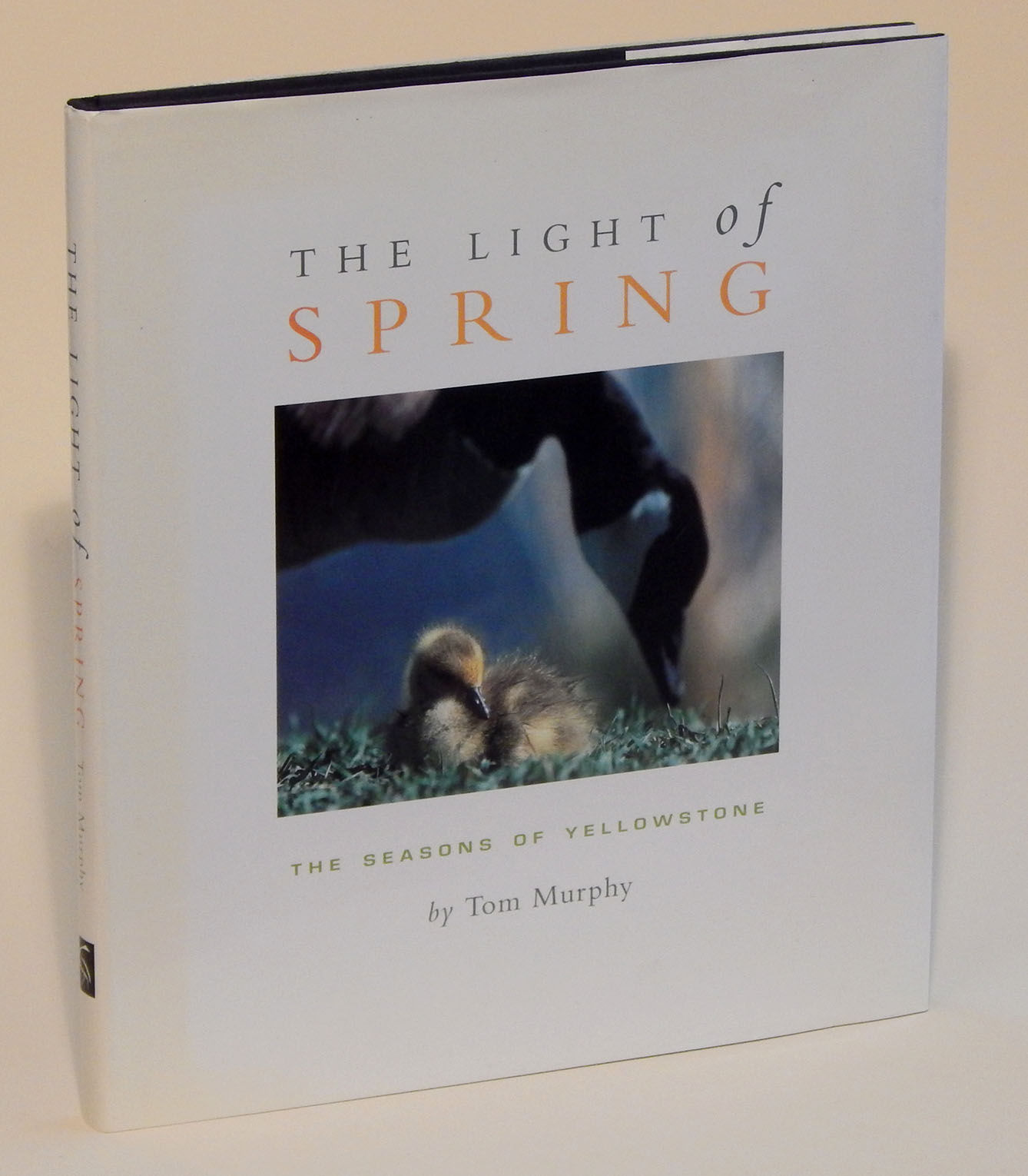 The Light of Spring