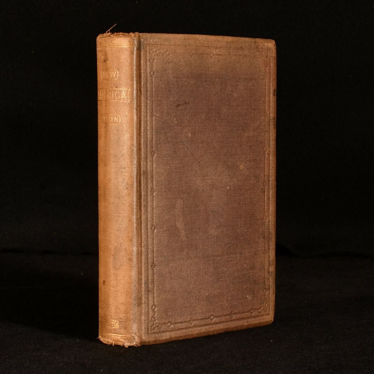 William Hepworth Dixon - New America
