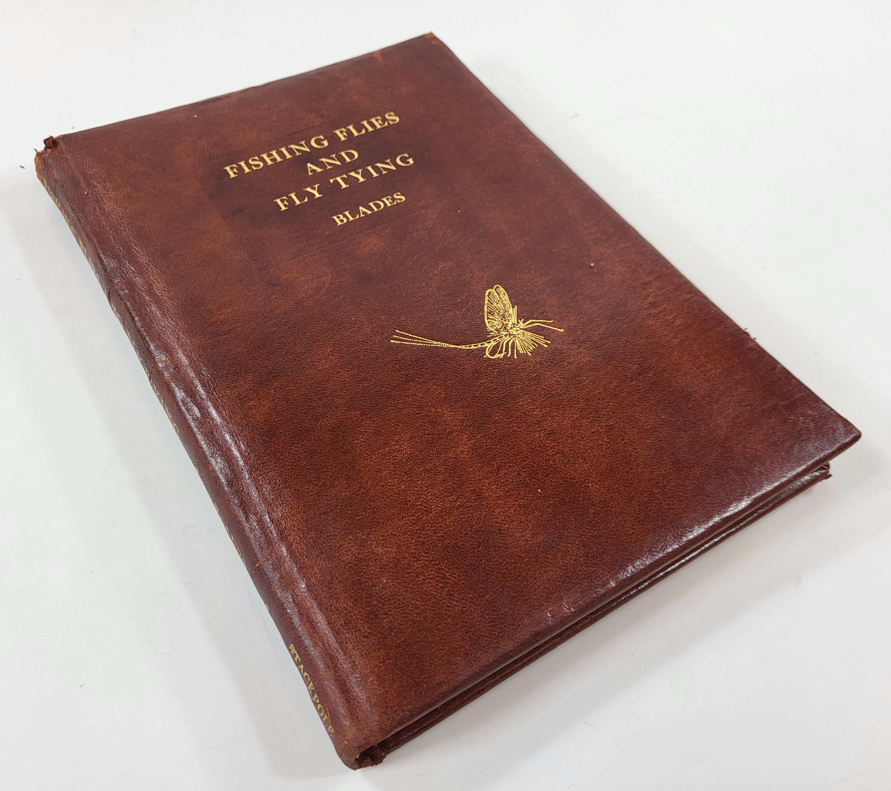 Image for Fishing Flies and Fly Tying: American Insects and Their Imitations Fishing Flies and Fly Tying: American Insects and Their Imitations