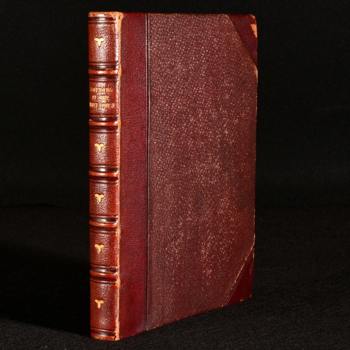 Thomas Hughes - The Scouring of the White Horse; or, the Long Vacation Ramble of a London Clerk.