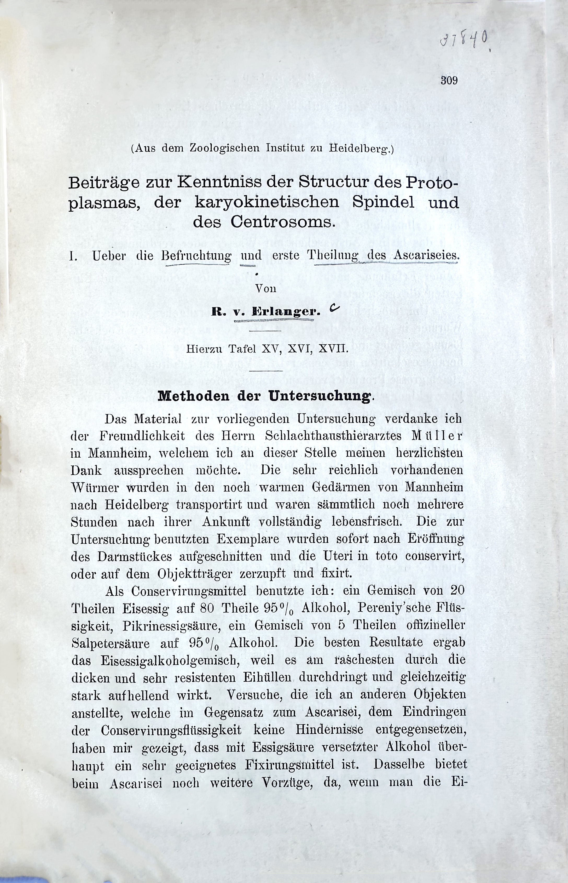 Image for