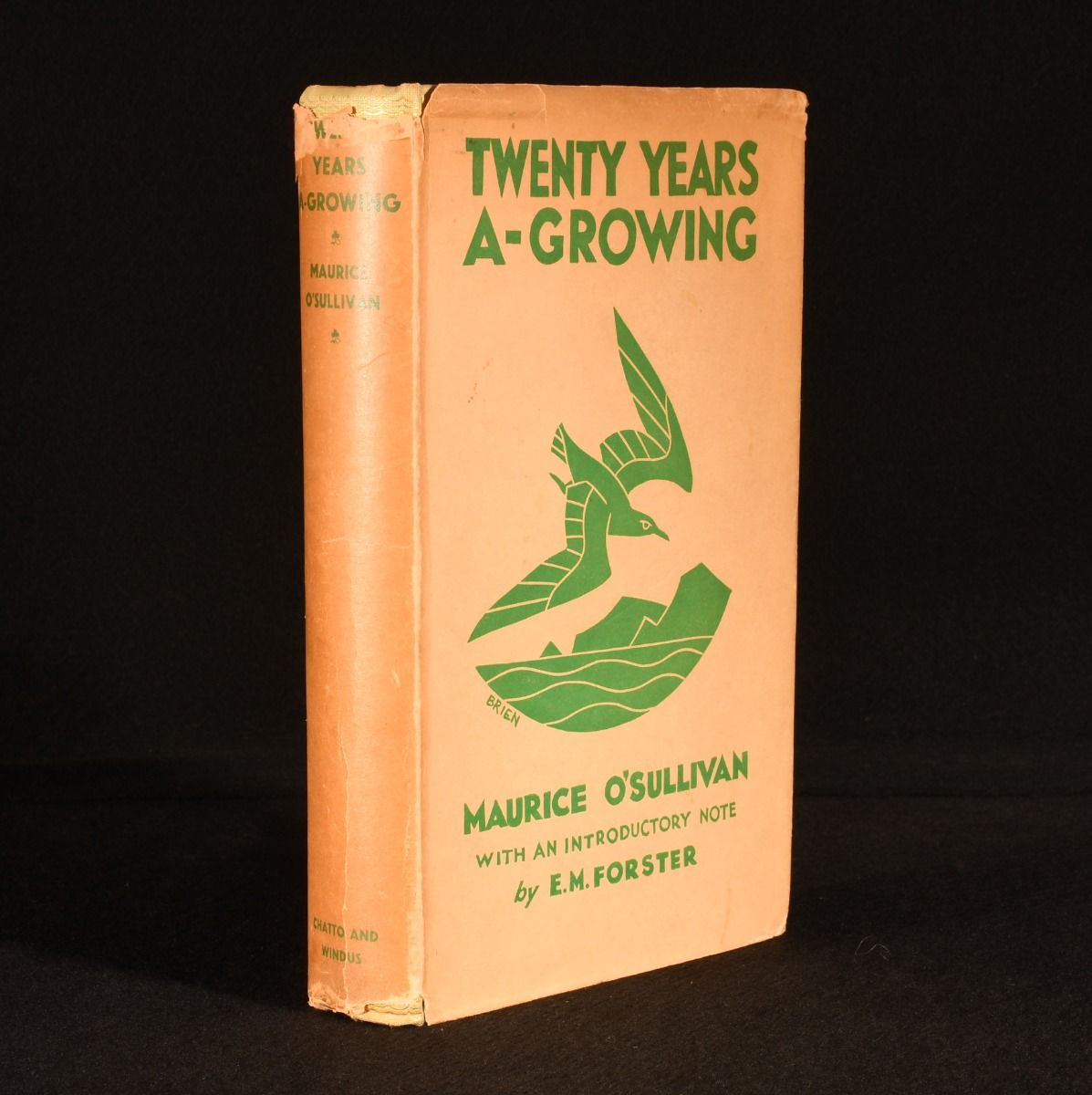 Maurice O'Sullivan; Moya Llewelyn Davies [translator]; George Thomson [translator] - Twenty Years a-Growing