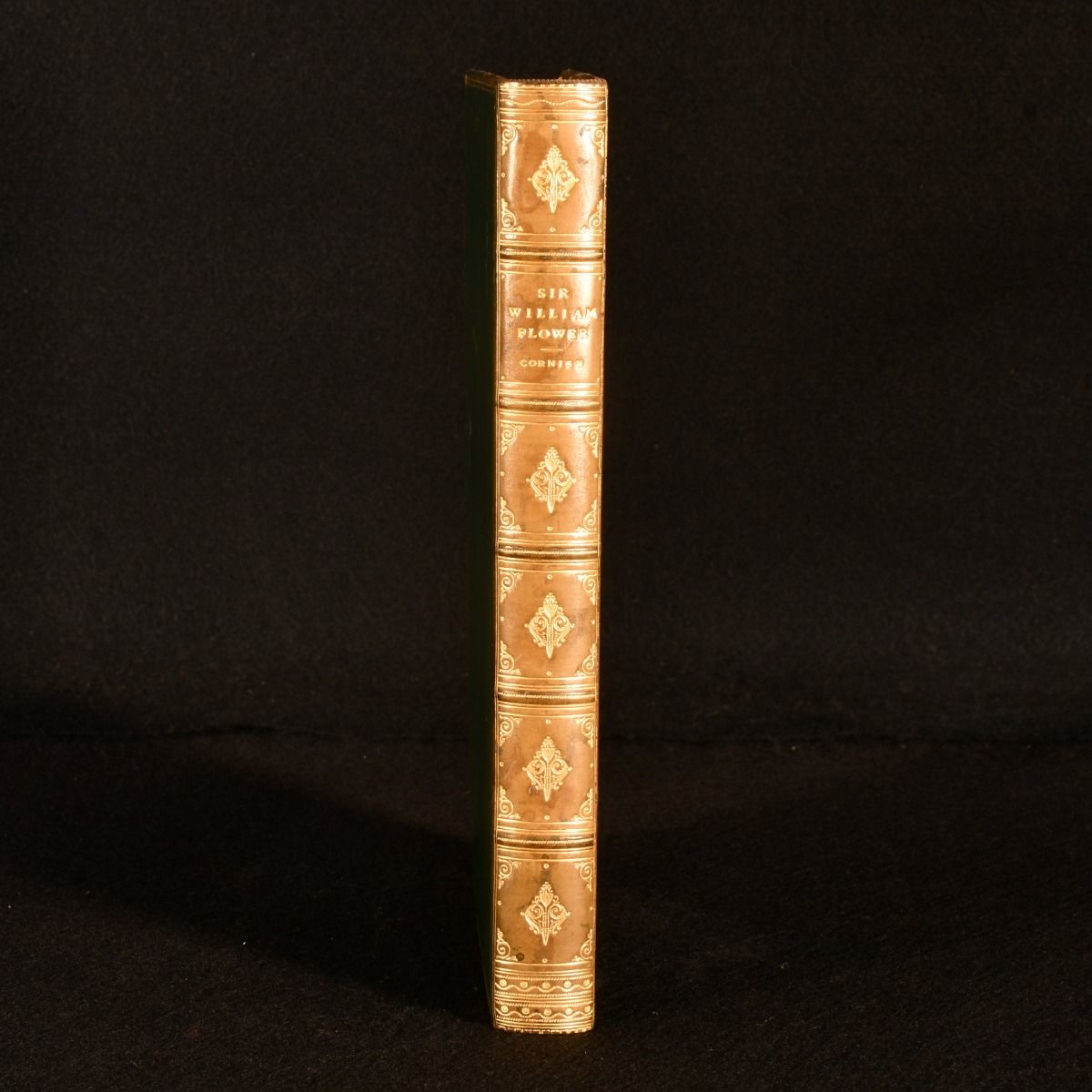 Charles J. Cornish - Sir William Henry Flower: A Personal Memoir