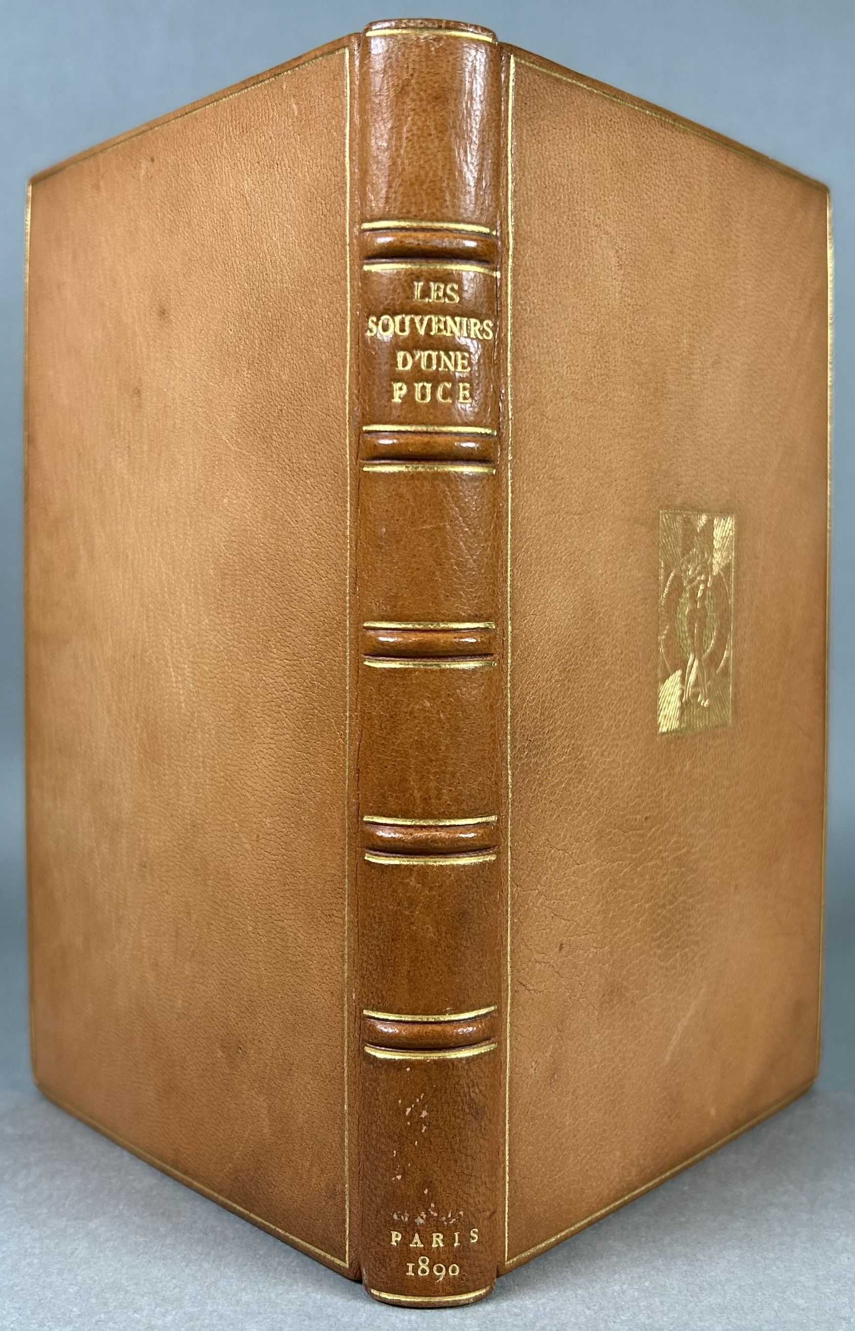 Les Souvenirs d'une Puce Tome II [Histoire de Julia]