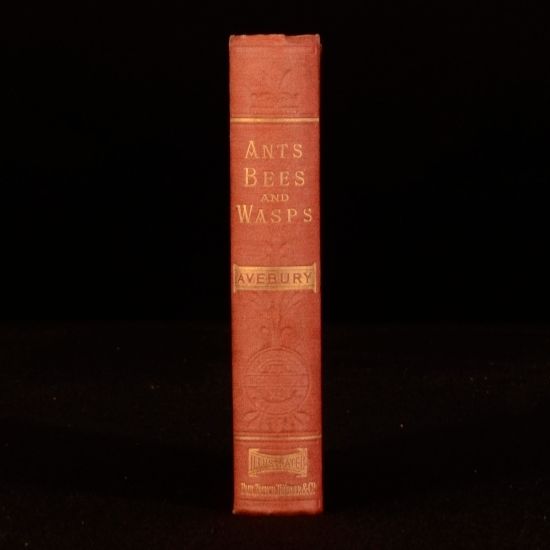 Lord Avebury - Ants, Bees and Wasps a Record of Observations on the Habits of the Social Hymenoptera