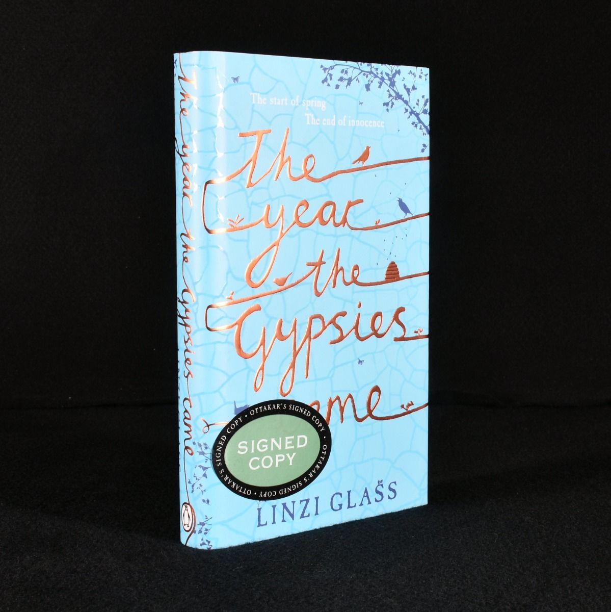 Linzi Glass - The Year the Gypsies Came