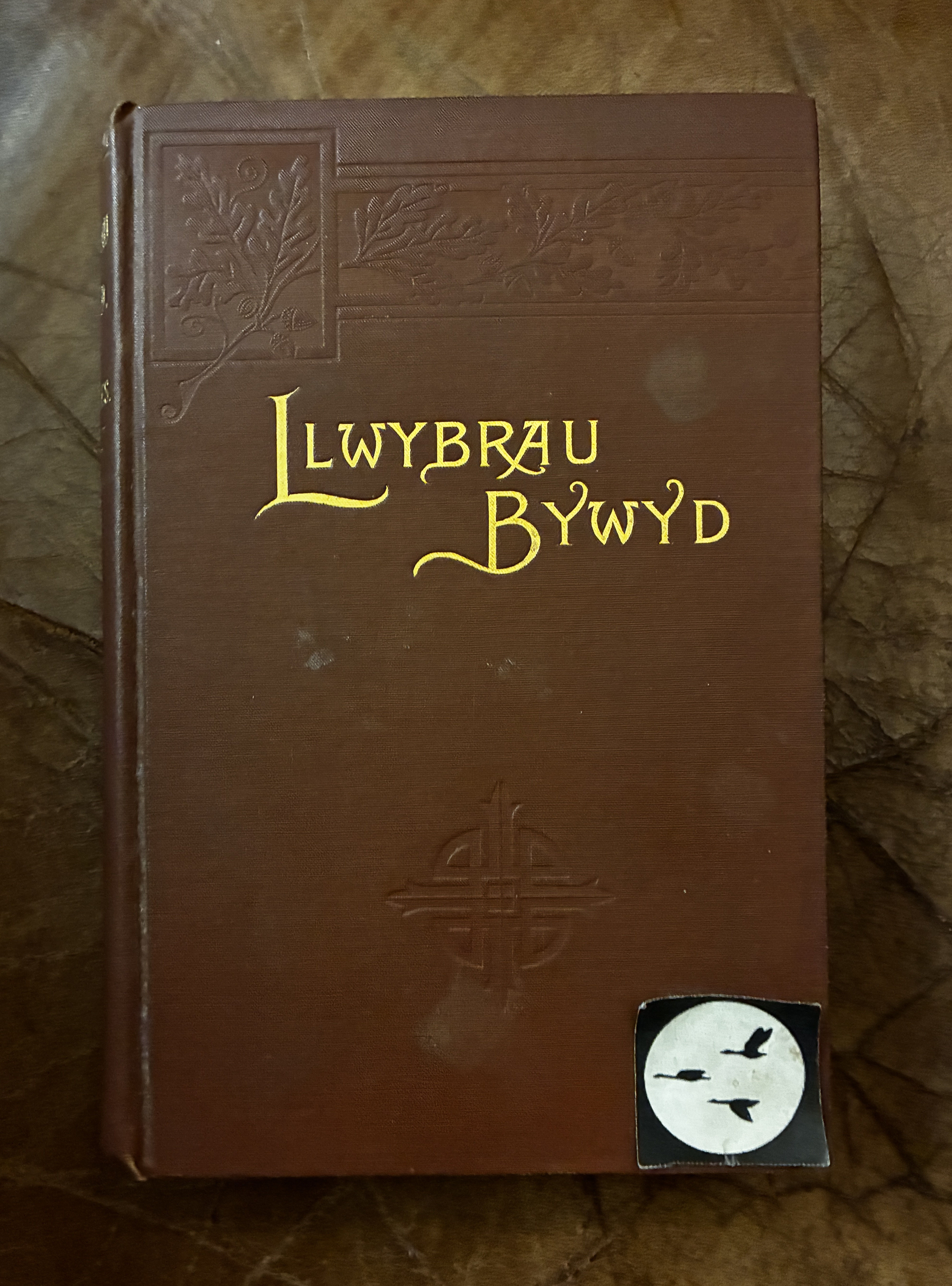 Llwybrau Bywyd; Neu, Haner Can' Mlynedd O Oes Paths of Life