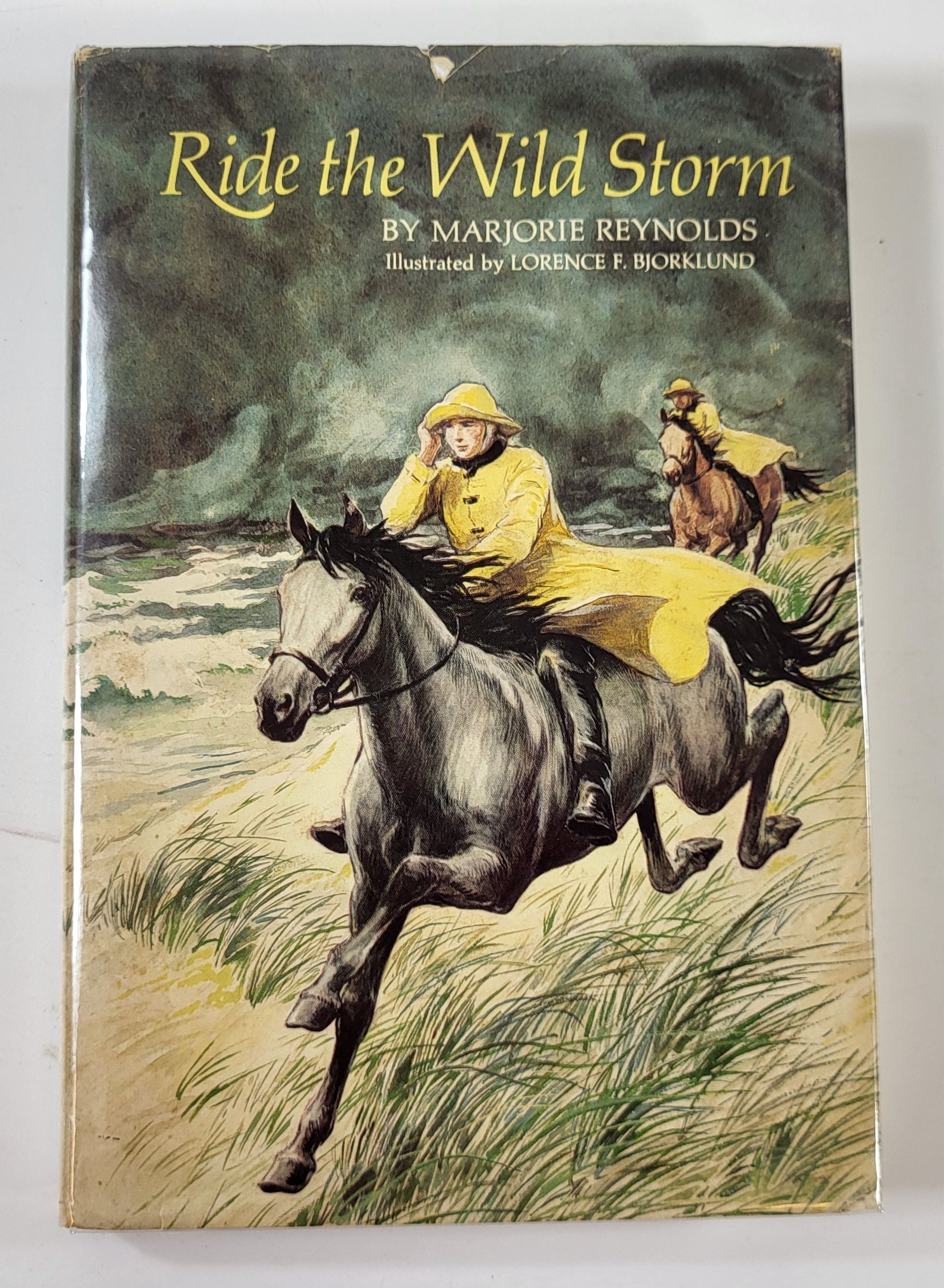 Image for Ride the Wild Storm Ride the Wild Storm