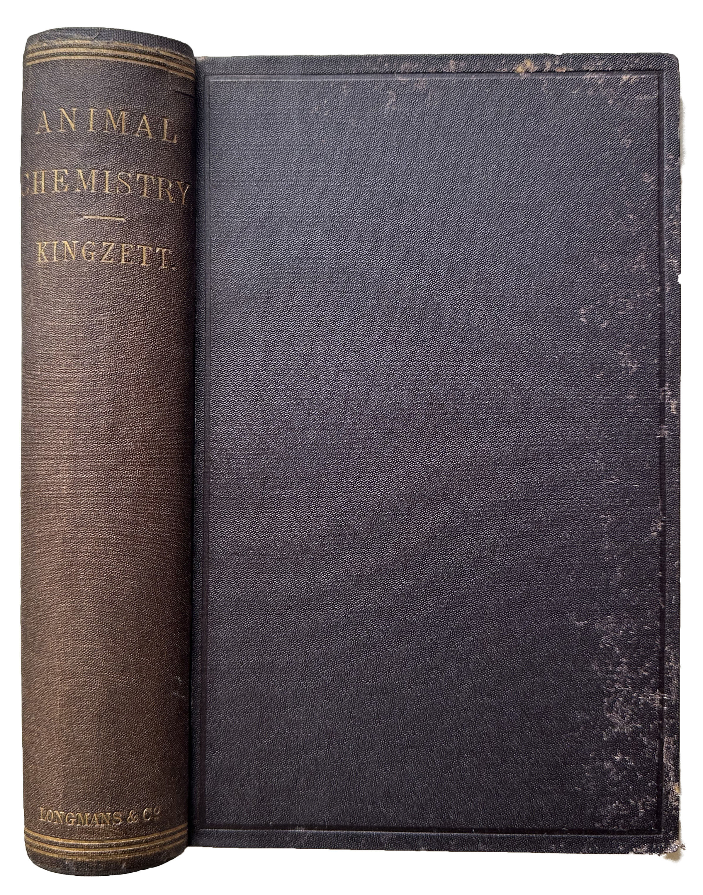 Image for Animal chemistry or the relations of chemistry to physiology and pathology. A manual for medical men and scientific chemists. Animal chemistry or the relations of chemistry to physiology and pathology. A manual for medical men and scientific chemists.