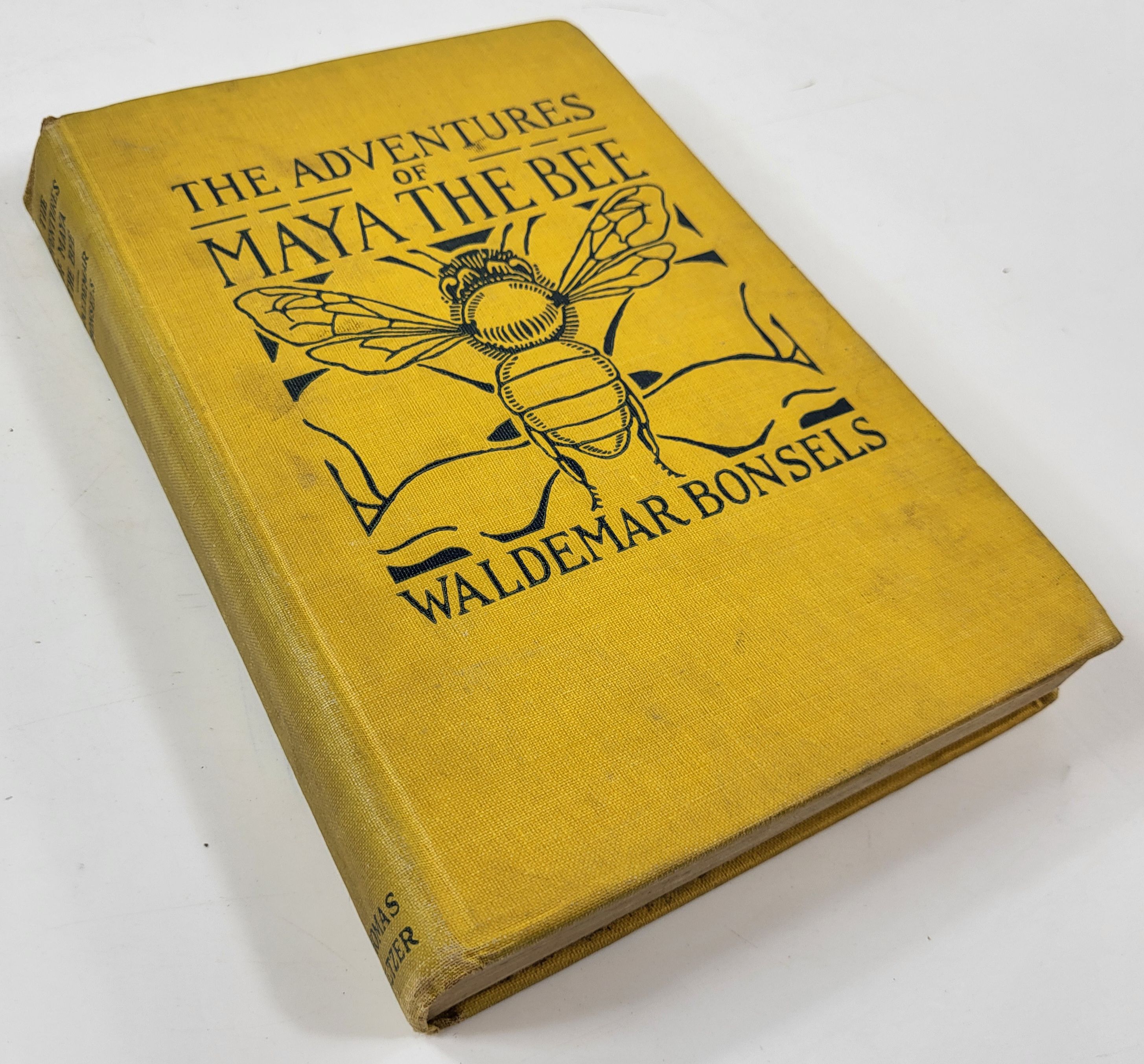 Image for The Adventures of Maya the Bee The Adventures of Maya the Bee