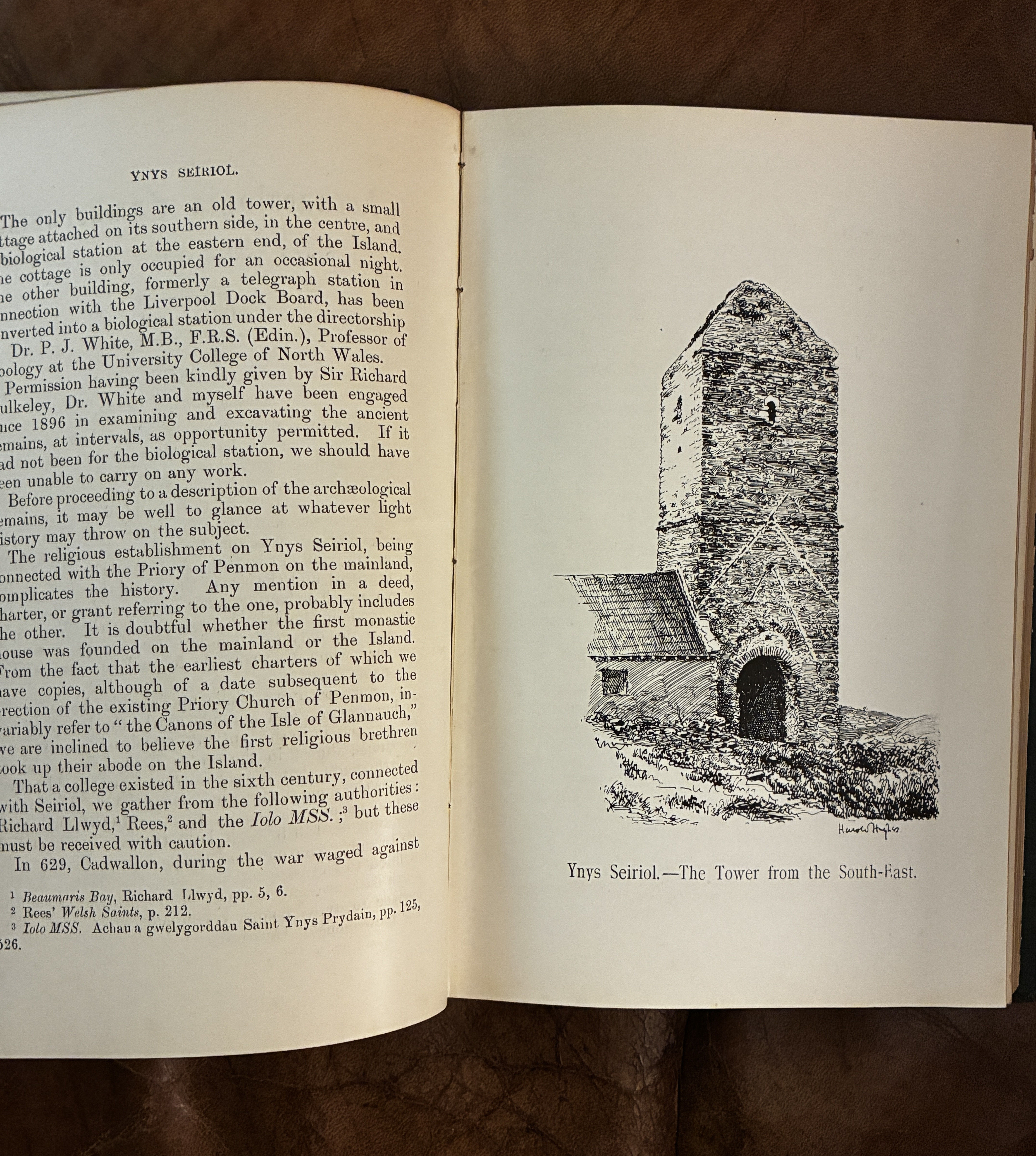 Archaeologia Cambrensis The Journal of The Cambrian Archaeological Association Sixth Series Vol. I. Part I-II-III-IV 1901 Some Parallels between Celtic and Indian Institutions