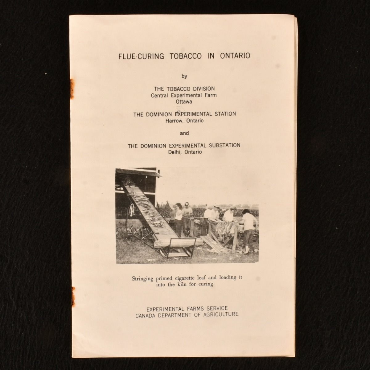 The Tobacco Division; The Dominion Experimental Station; The Dominion Experimental Substation - Flue-Curing Tobacco in Ontario