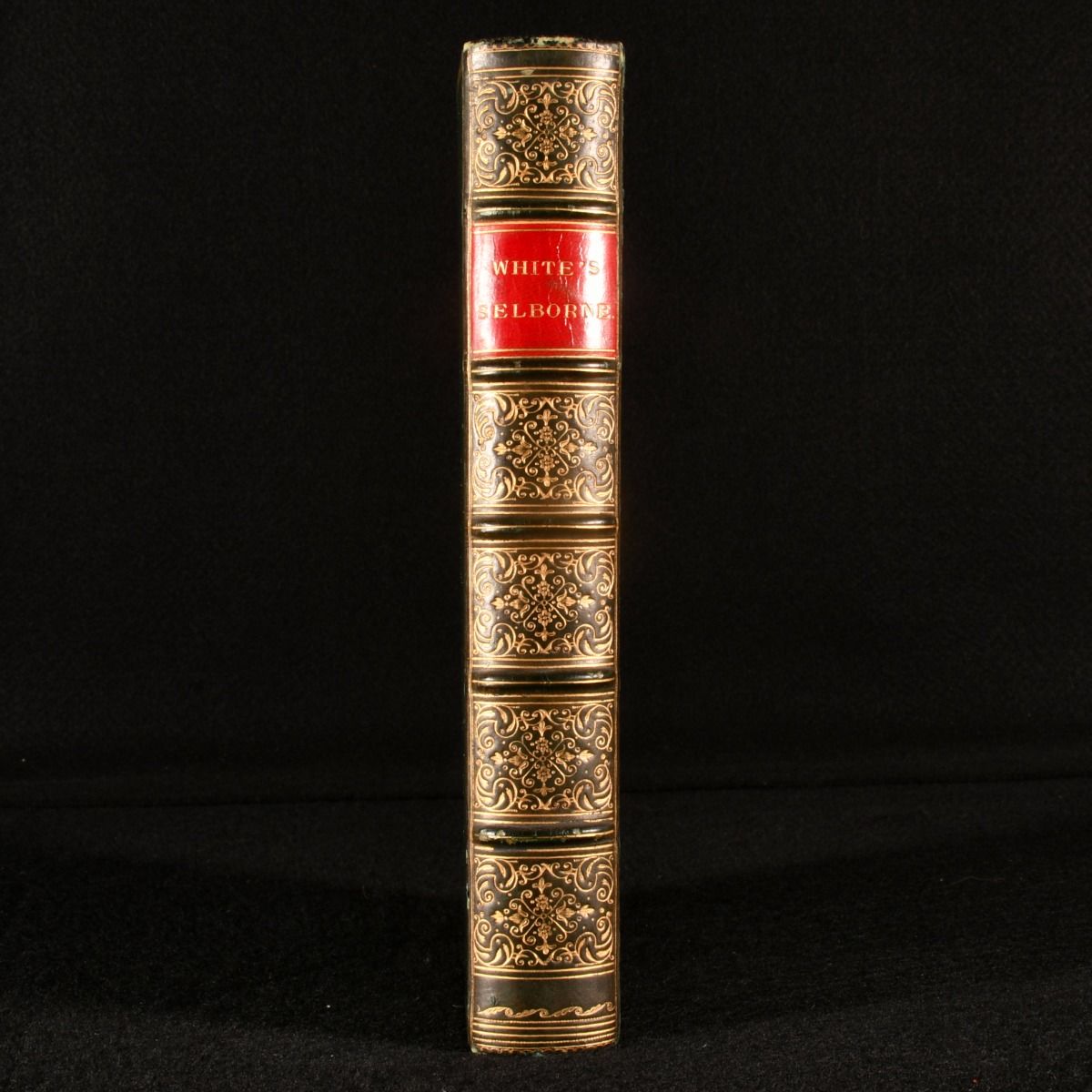 James Edmund Harting - The Natural History and Antiquities of Selborne