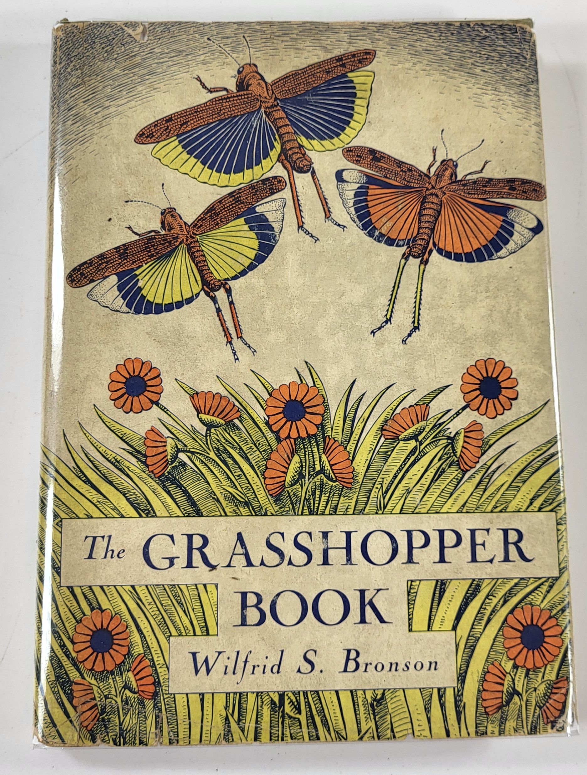 Image for The Grasshopper Book The Grasshopper Book