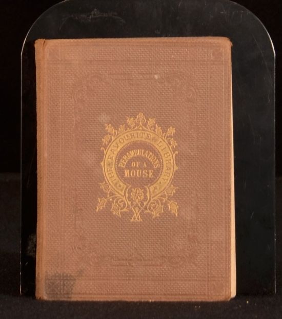 Anonymous [Attributed to Dorothy Kilner] - The Life and Perambulations of a Mouse